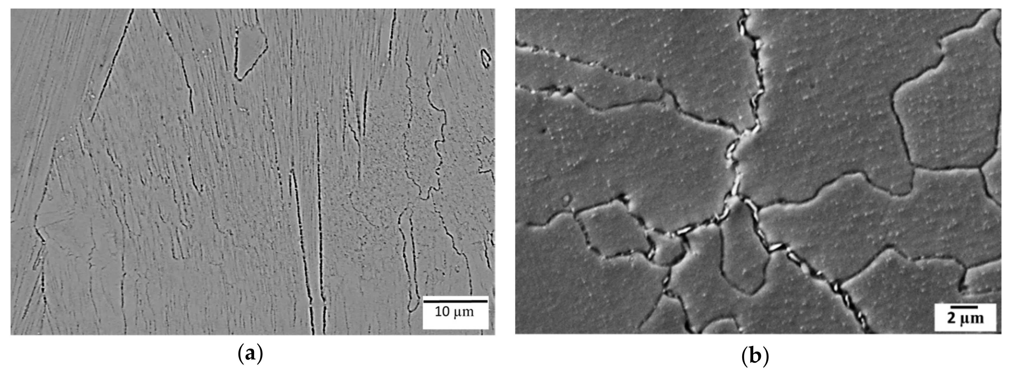 Metals 09 00881 g003