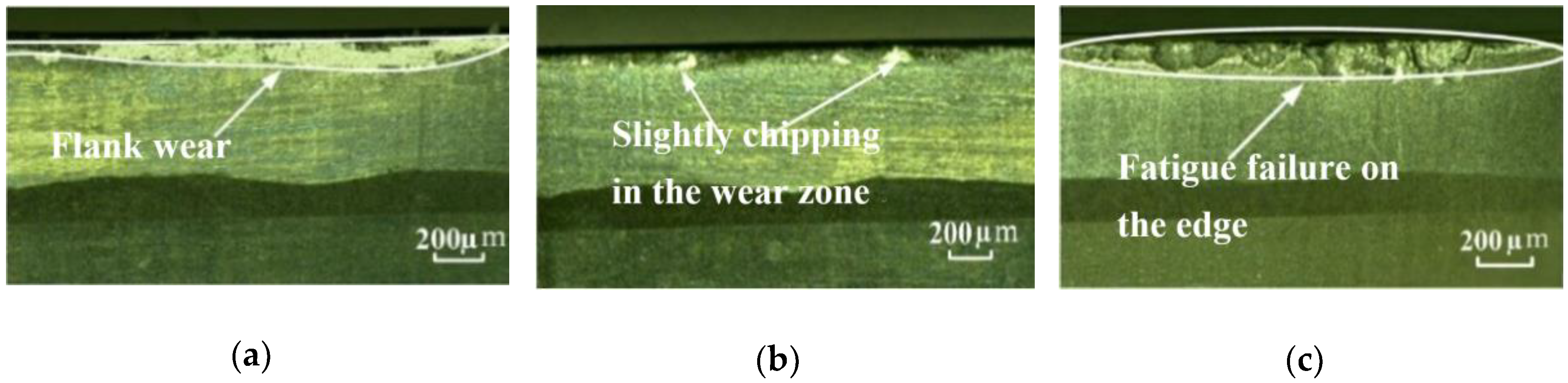 Metals 09 00885 g010