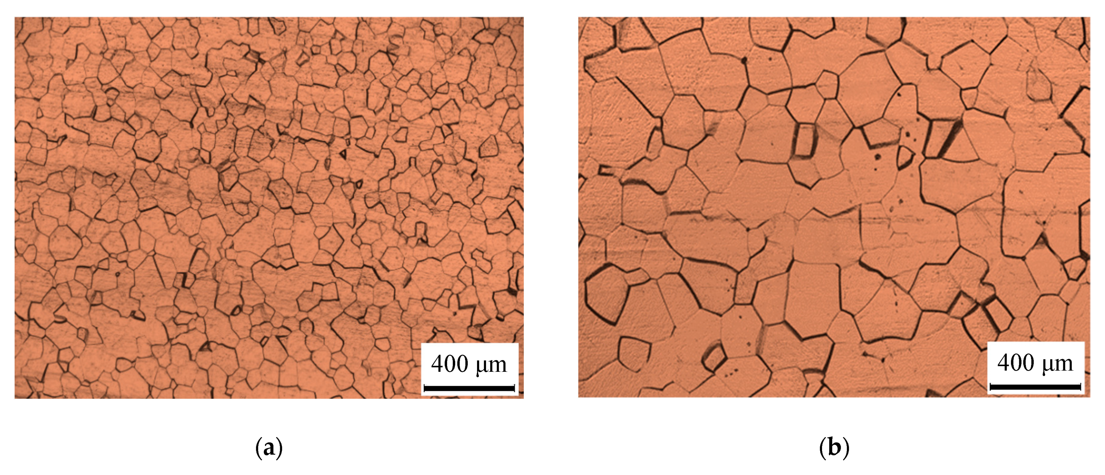 Metals 09 00891 g001