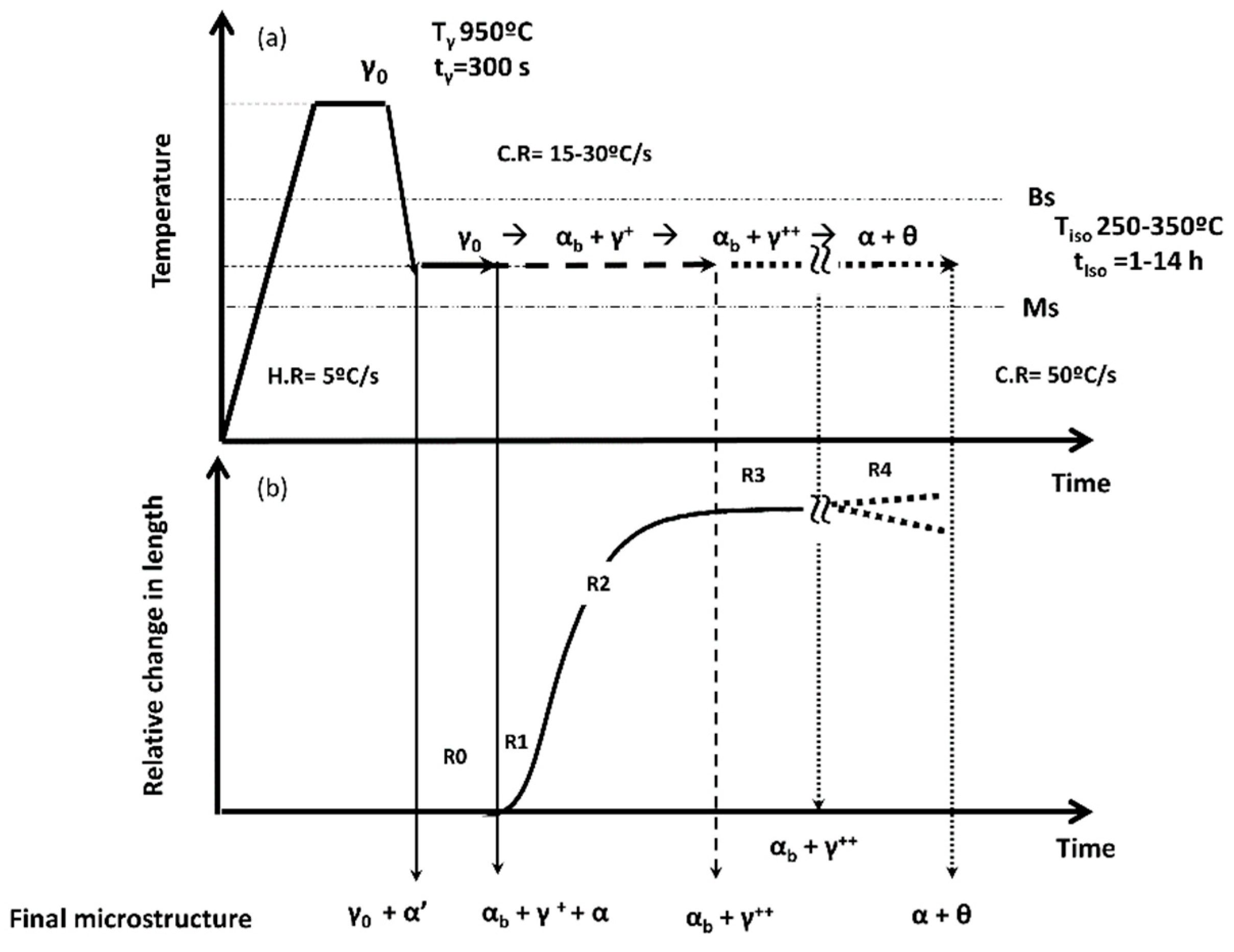 Metals 09 00925 g001