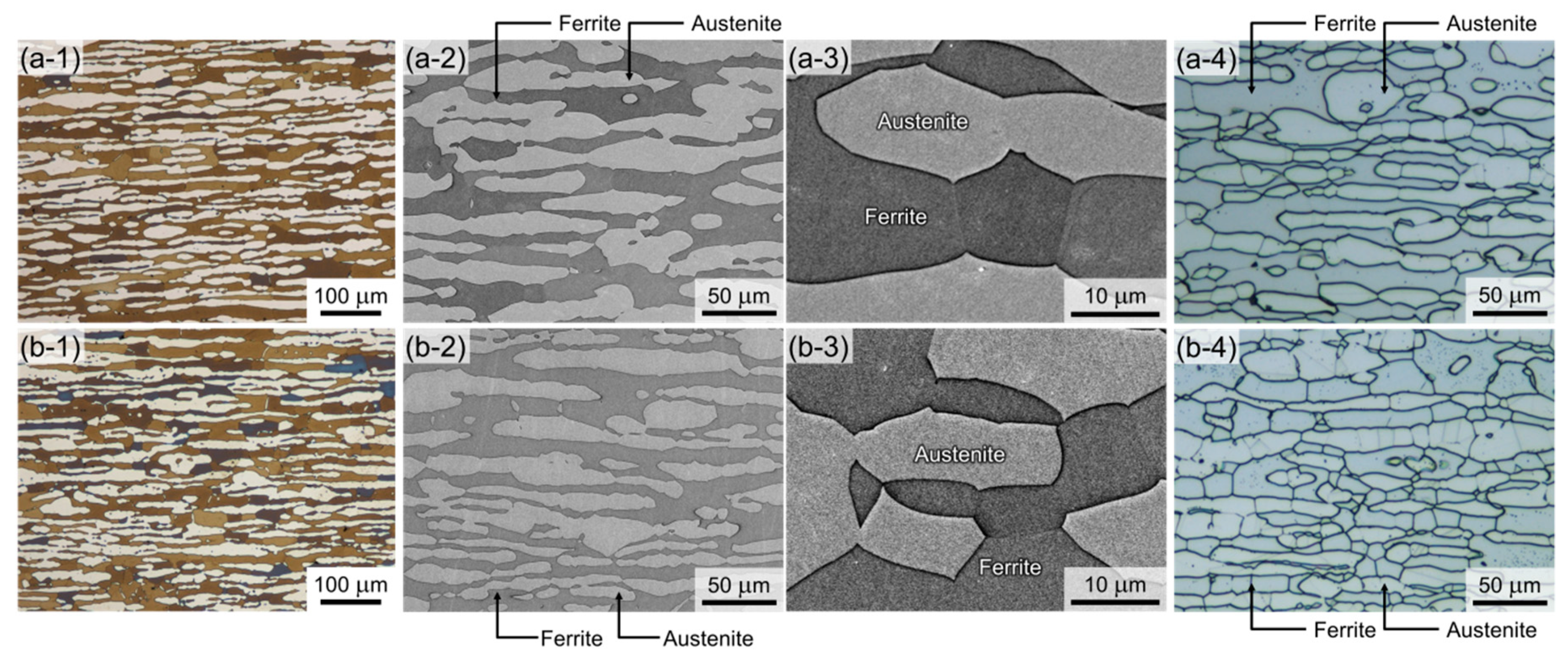 Metals 09 00930 g002
