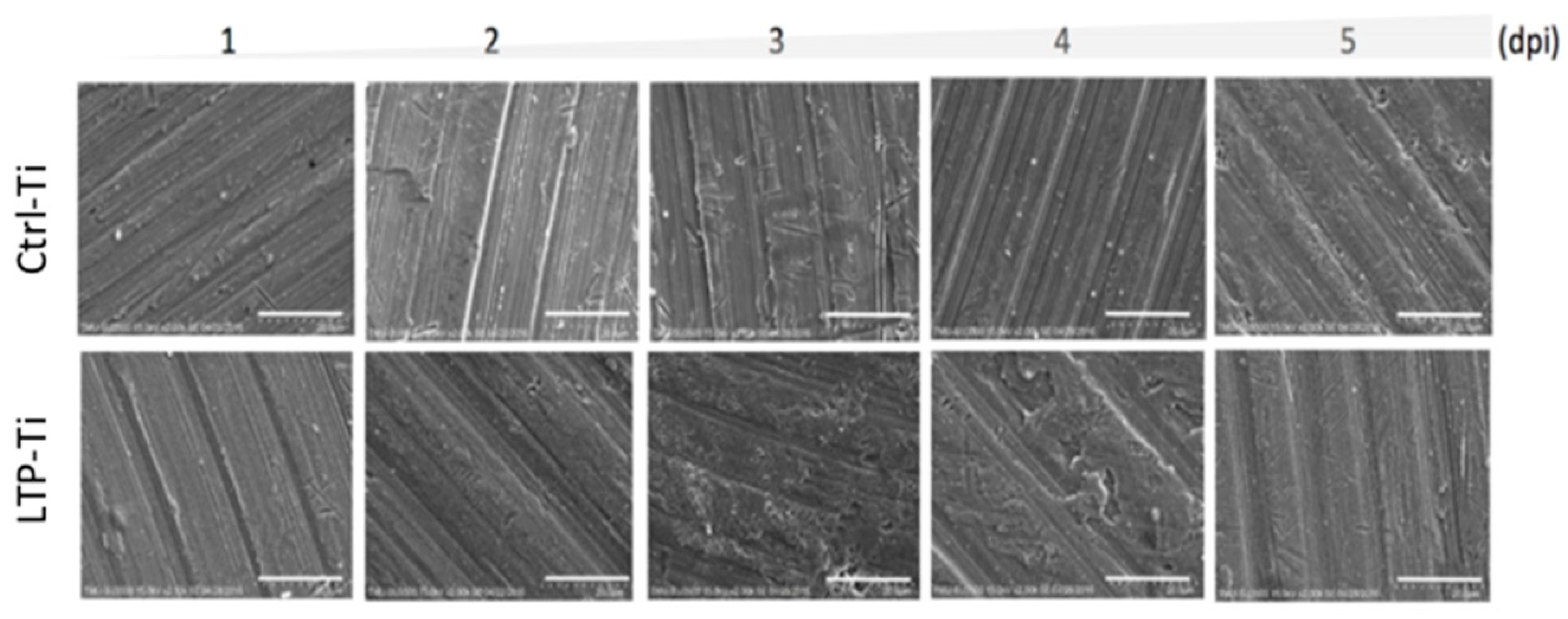 Metals 09 00943 g007 Metals 09 00943 g007