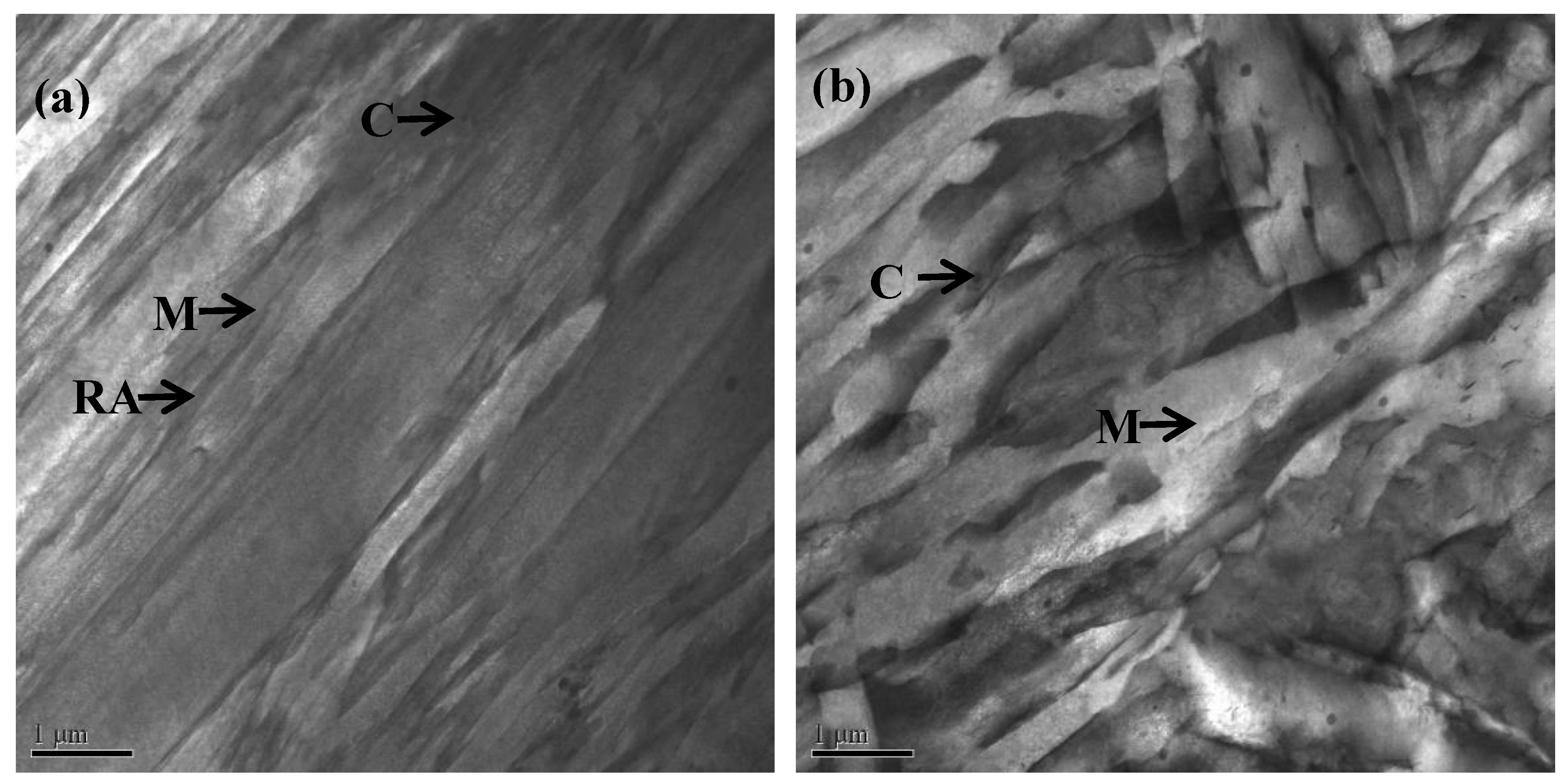 Metals 09 00958 g008