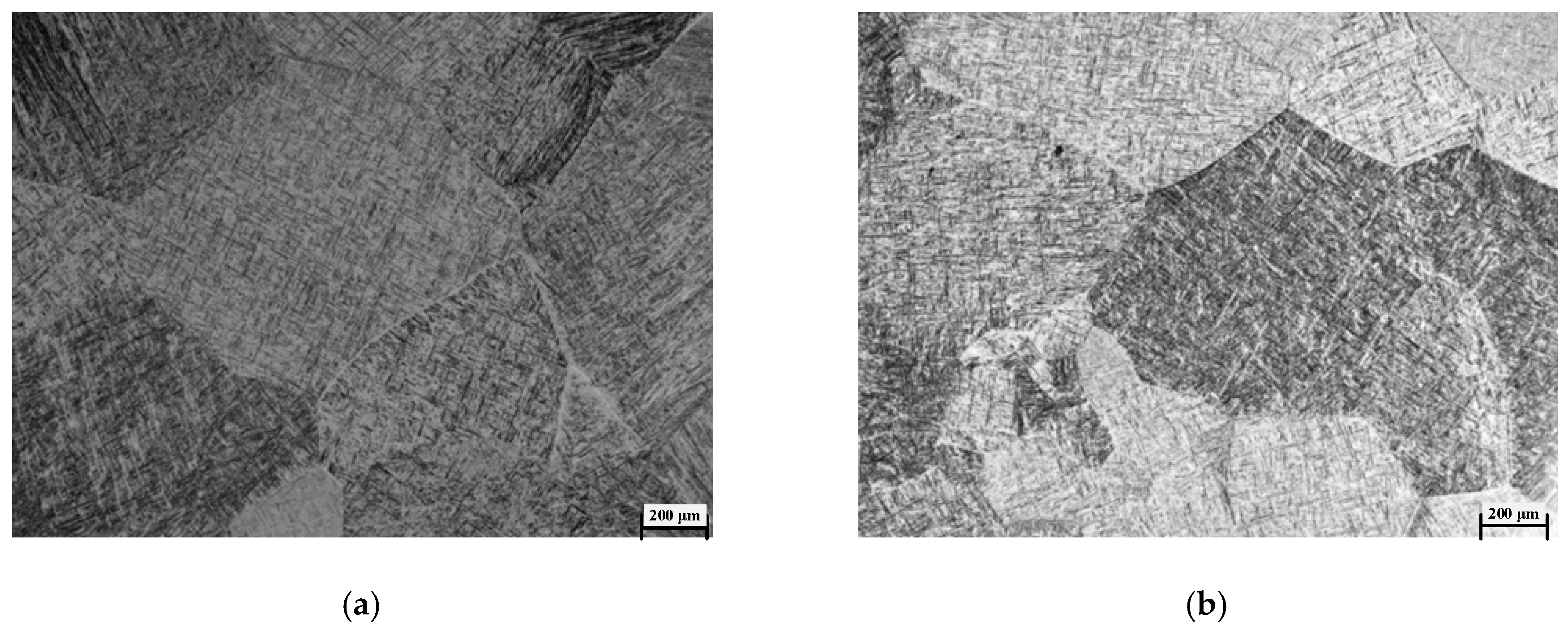 Metals 09 00968 g003a