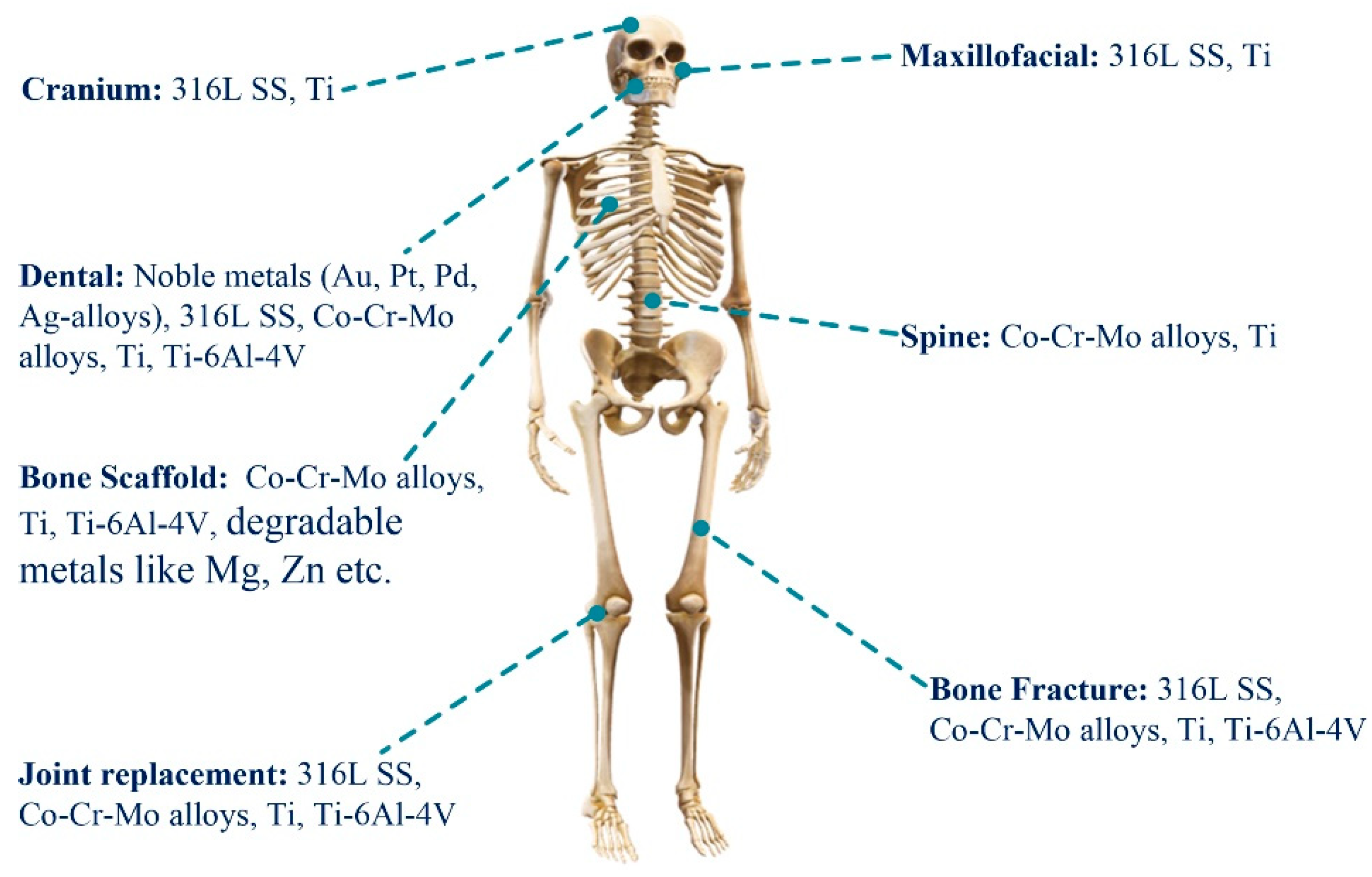 Metals 09 01004 g004 Metals 09 01004 g004