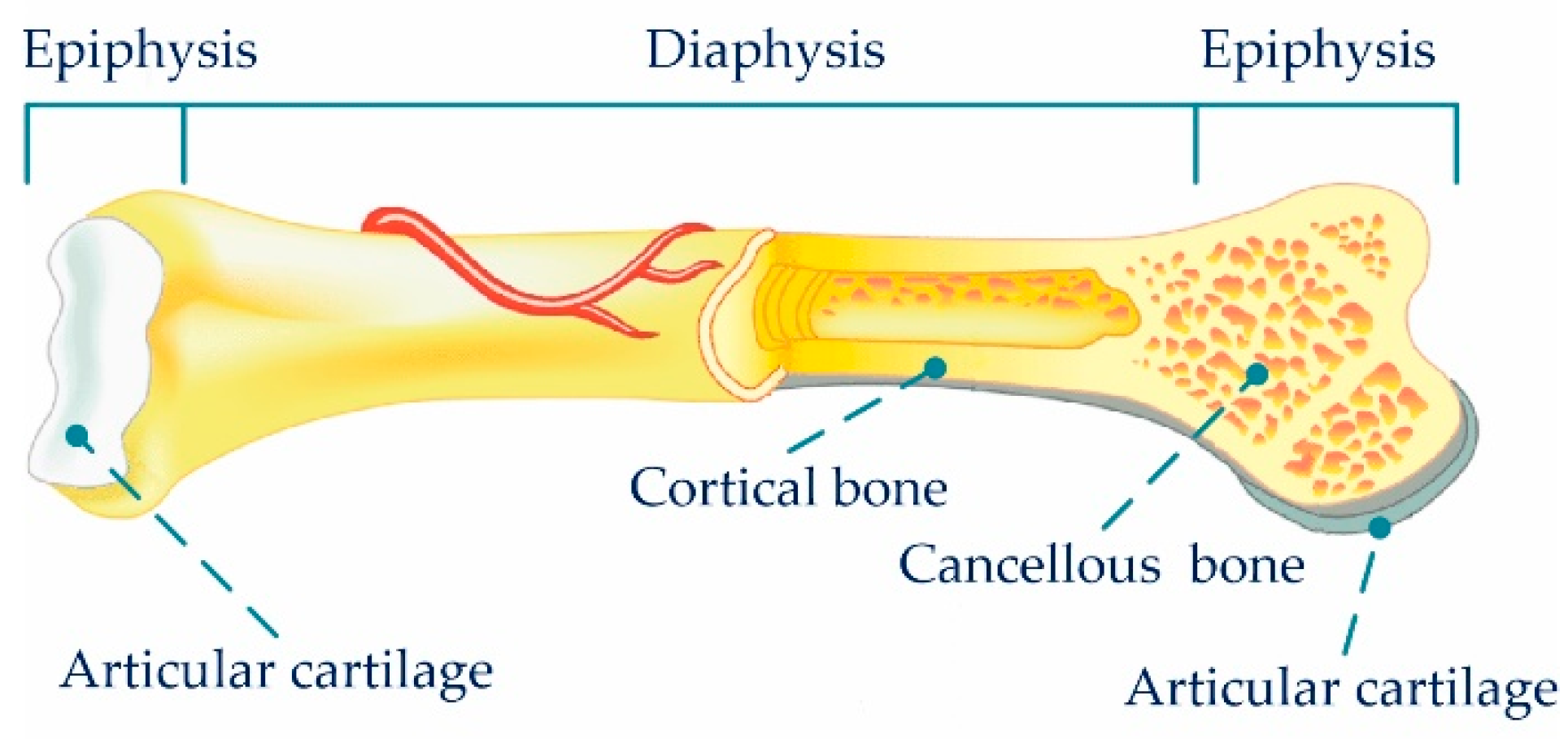 Metals 09 01004 g006 Metals 09 01004 g006