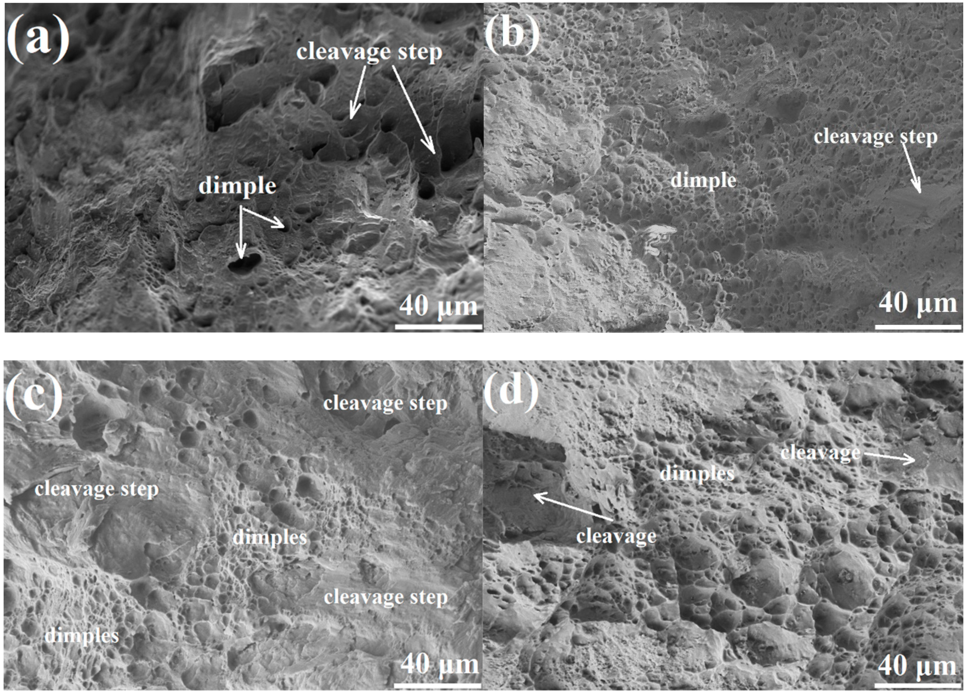 Metals 09 01008 g006