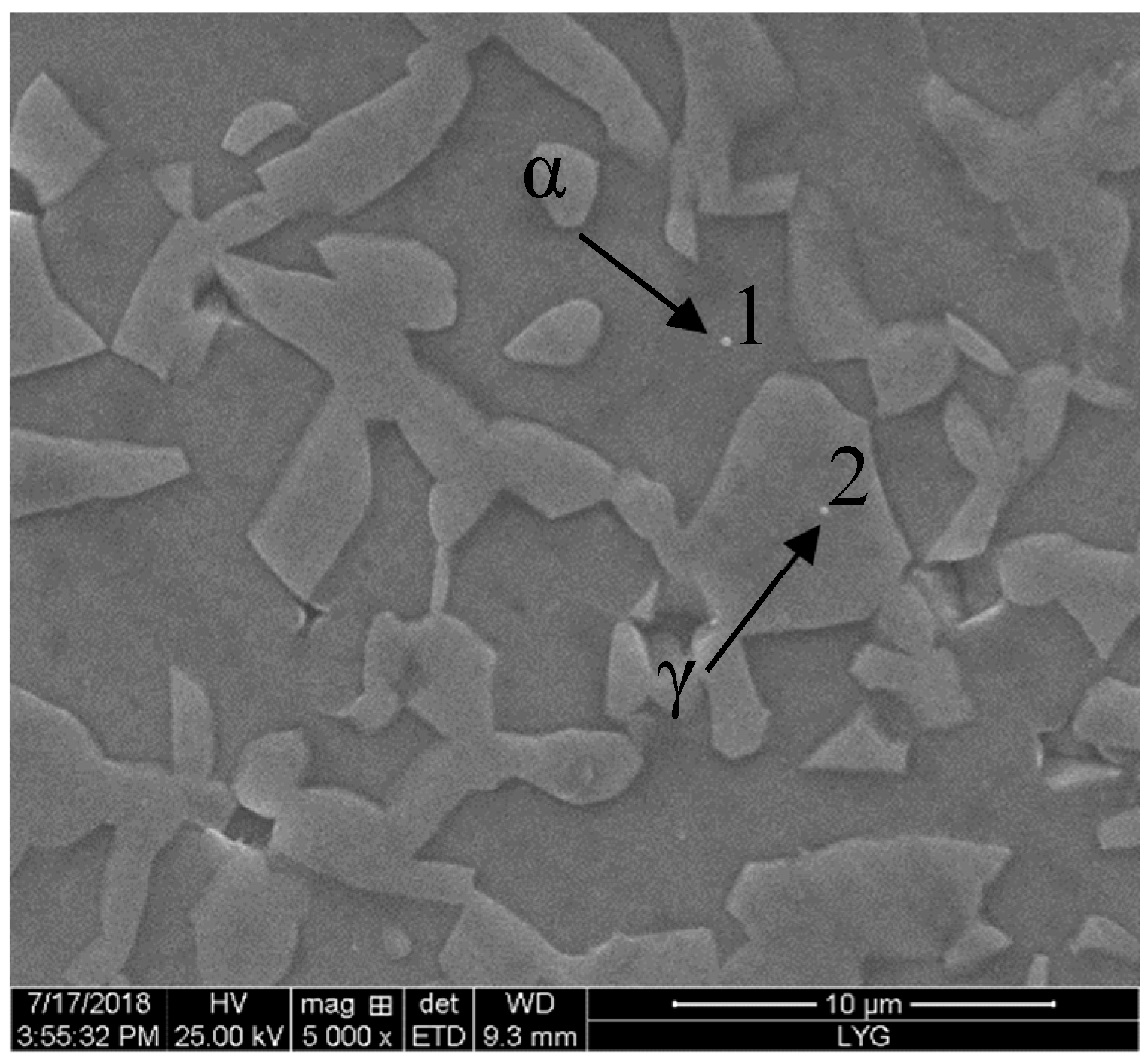 Metals 09 01012 g007