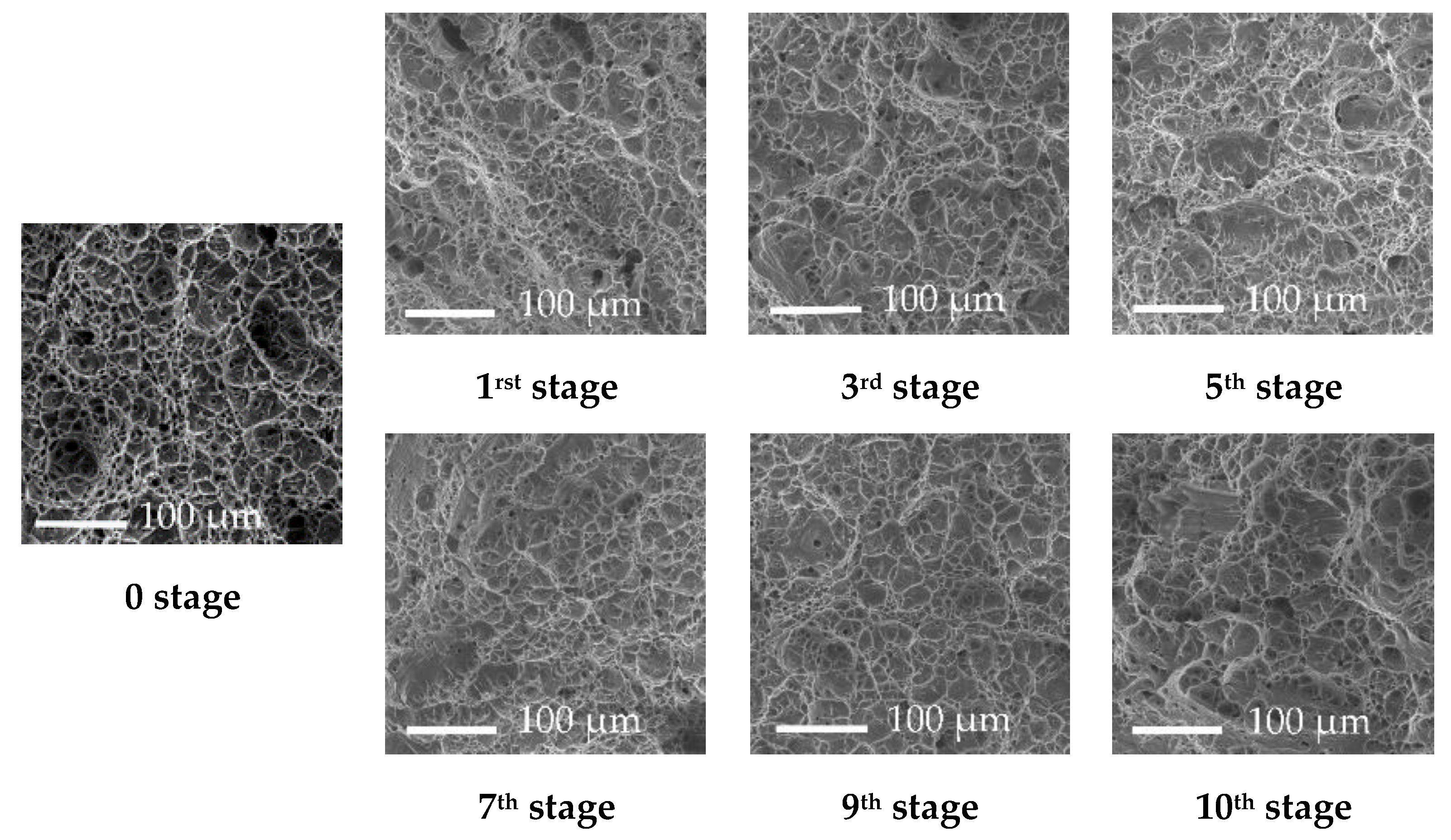 Metals 09 01021 g007 Metals 09 01021 g007