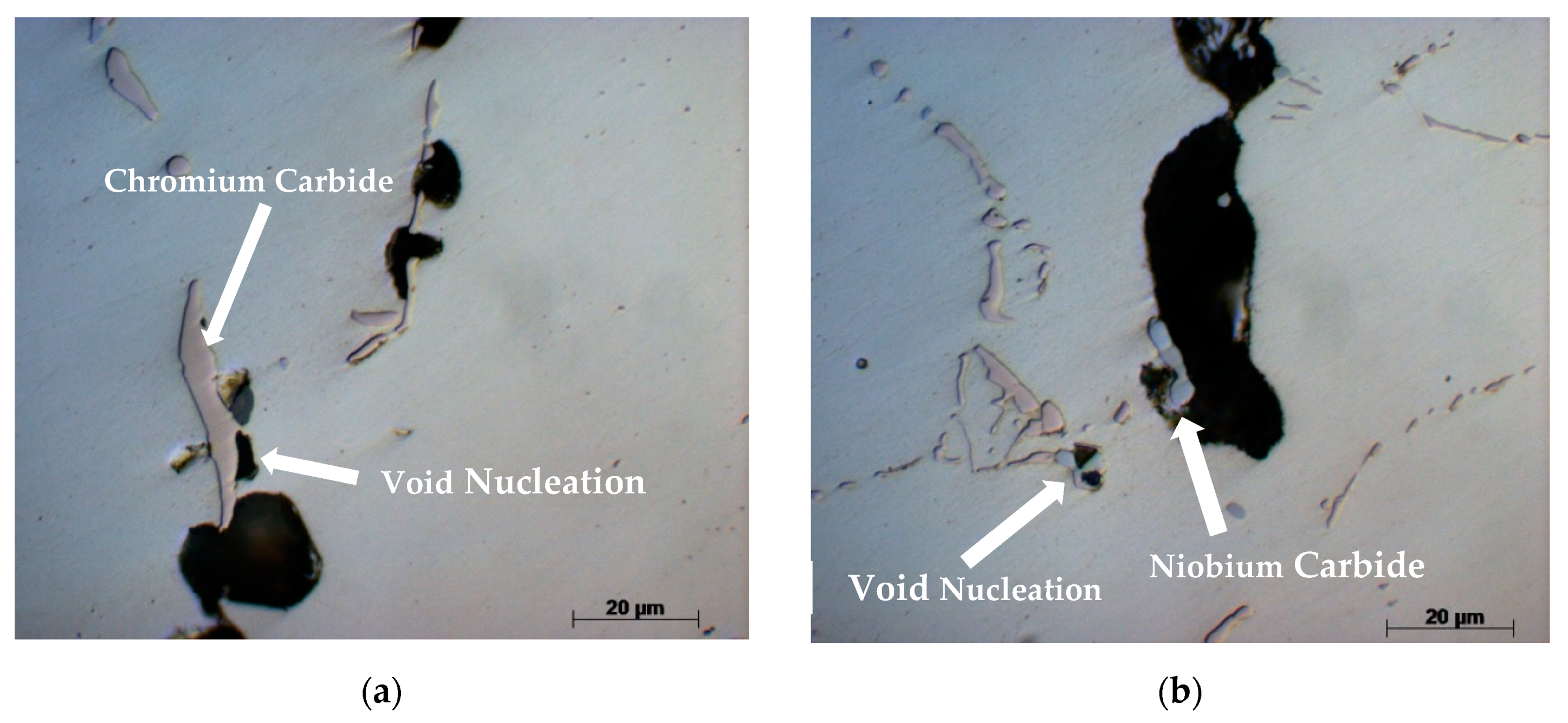 Metals 09 01026 g005 550