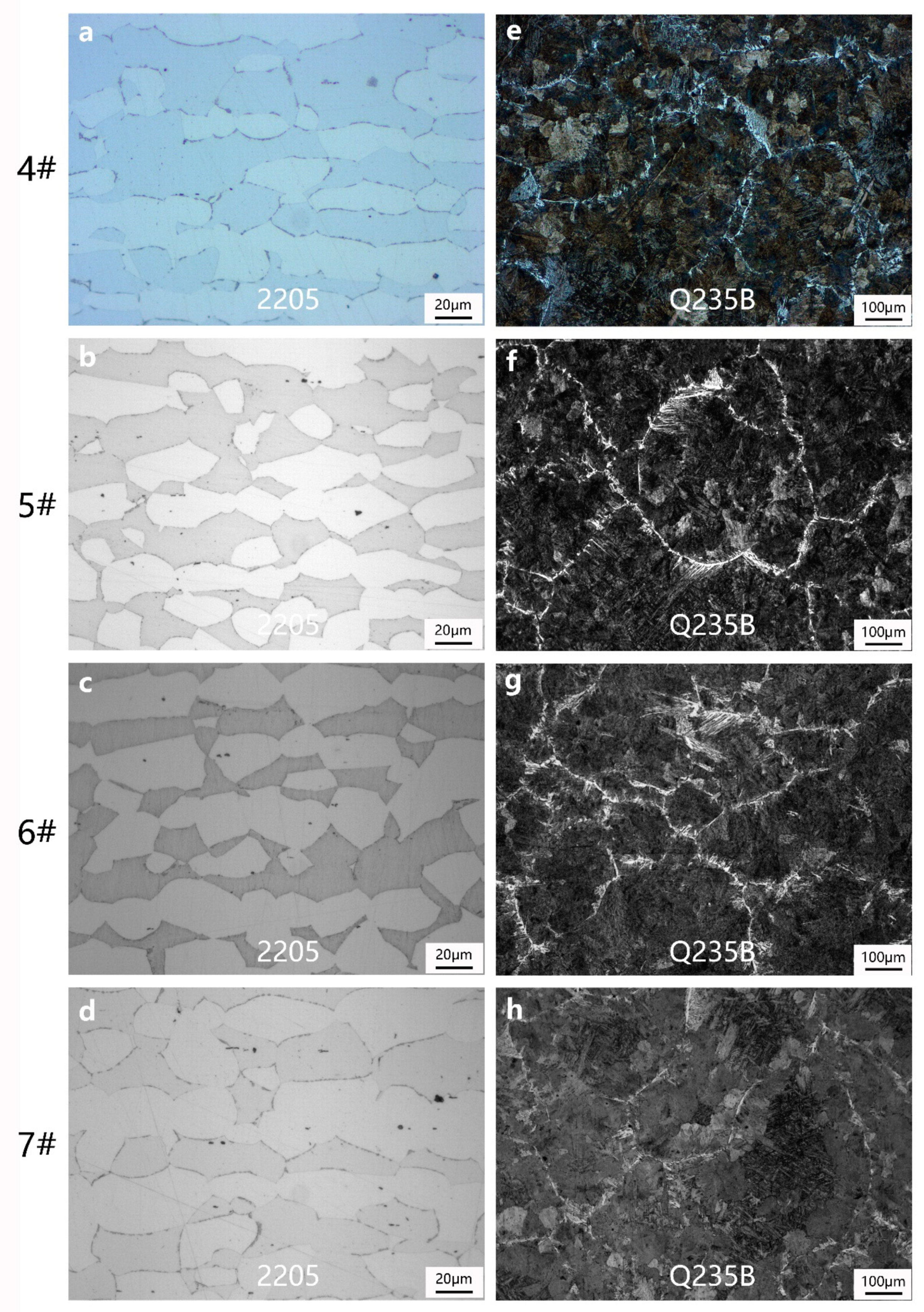 Metals 09 01027 g004 550