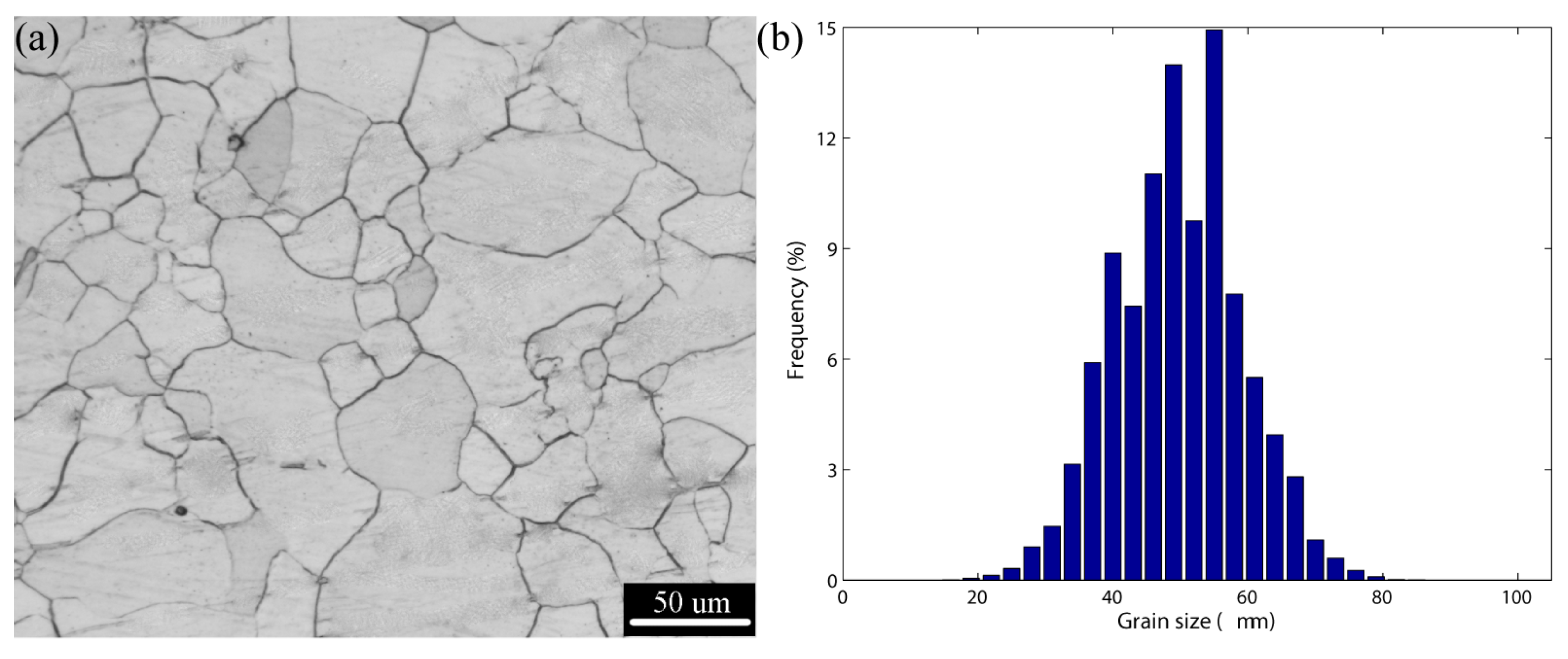 Metals 09 01028 g001 Metals 09 01028 g001