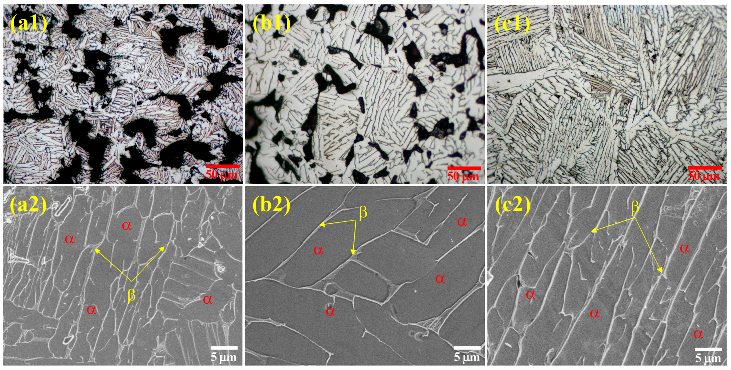 Metals 09 01033 g006