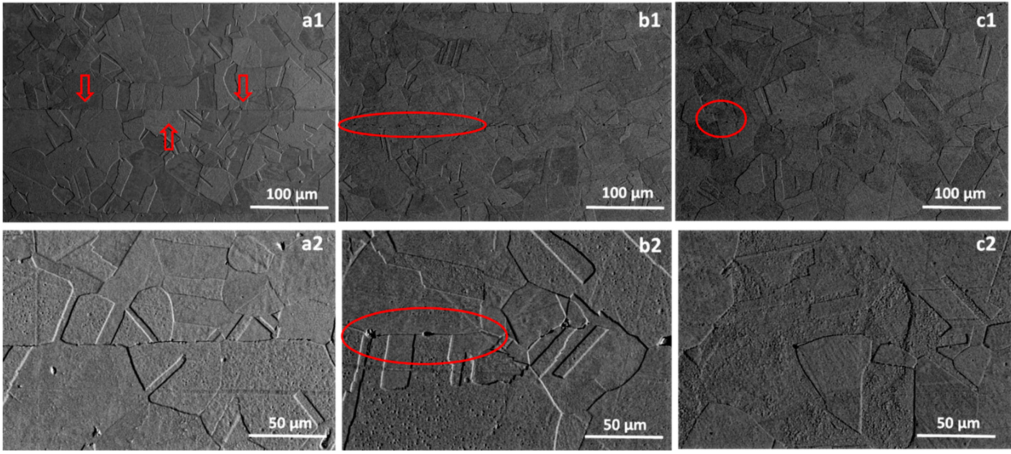 Metals 09 01044 g004 550