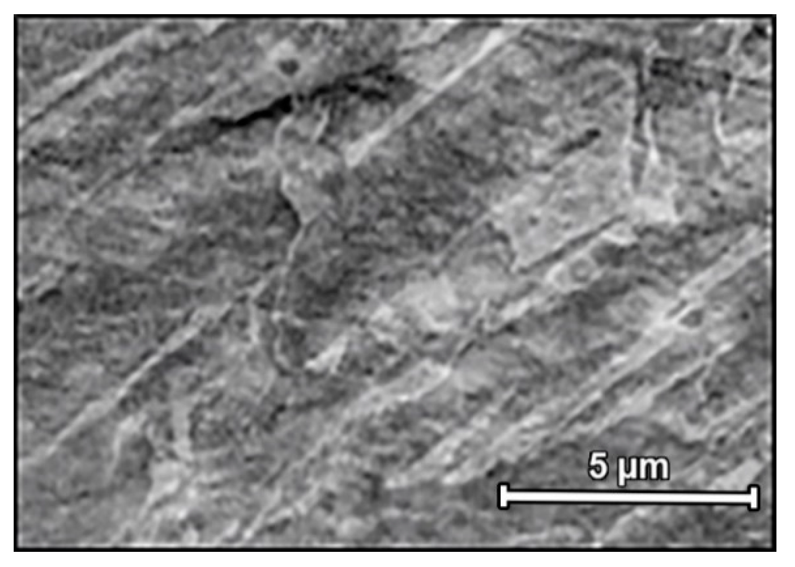 Metals 09 01046 g009