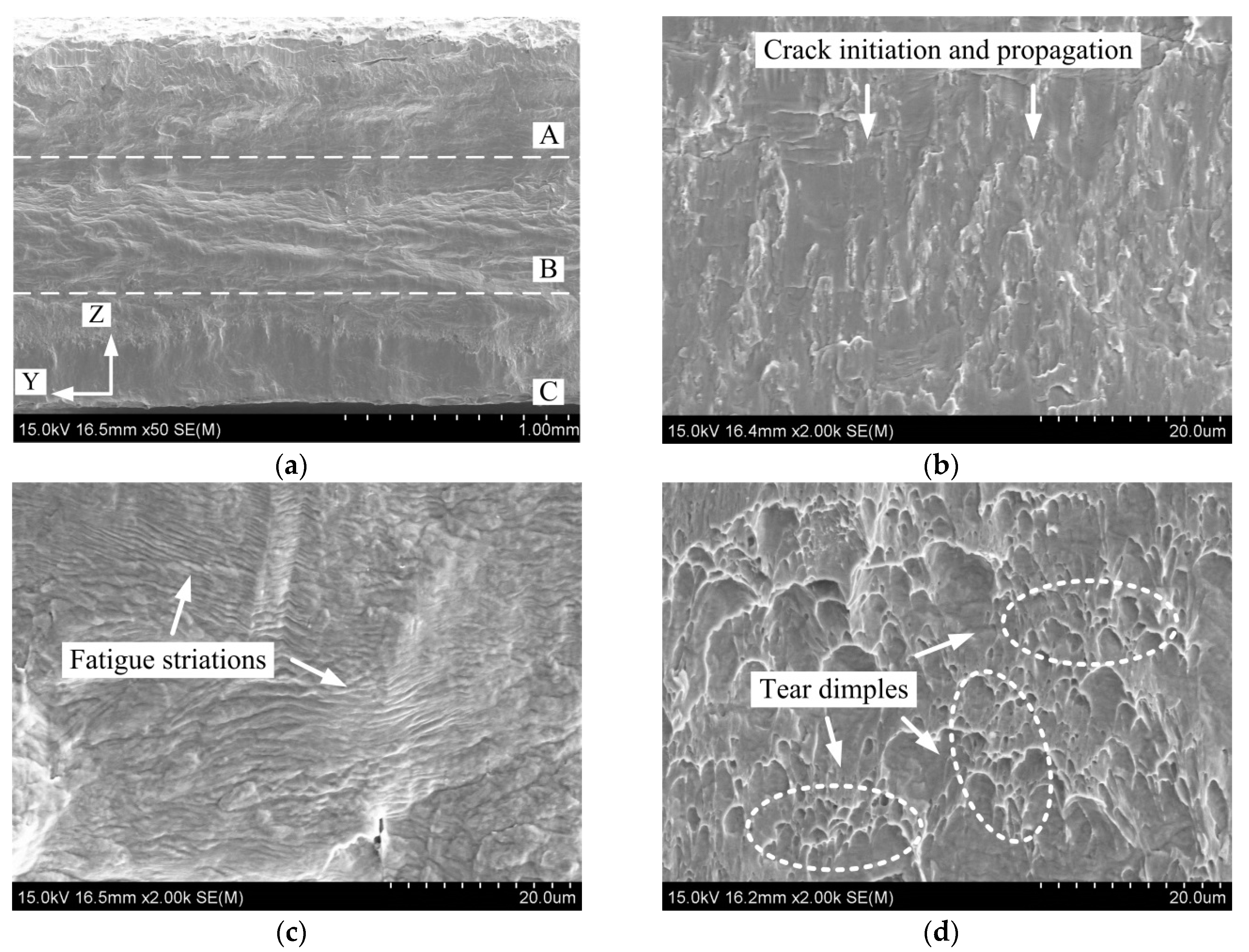 Metals 09 01047 g003