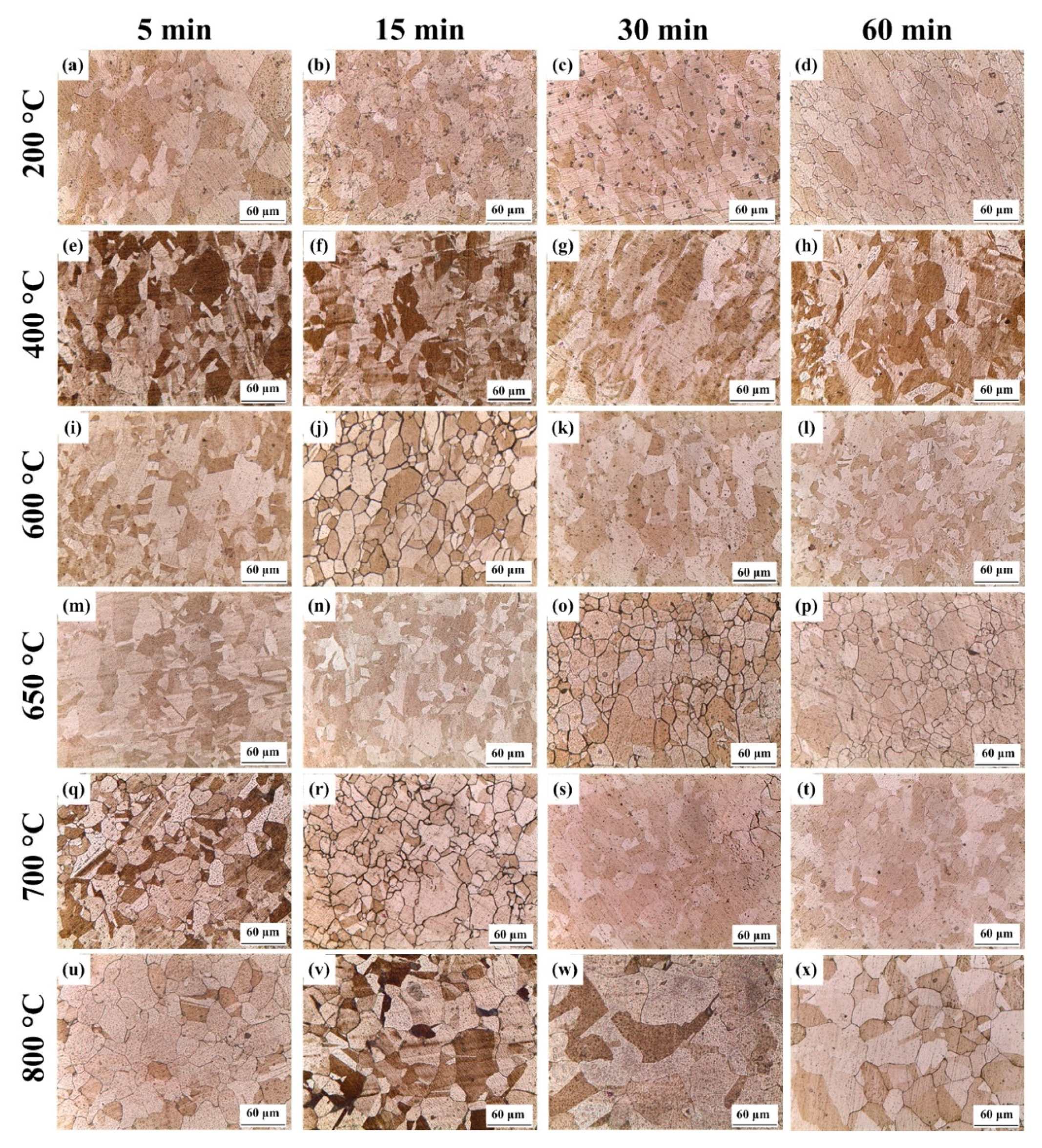 Metals 09 01047 g006