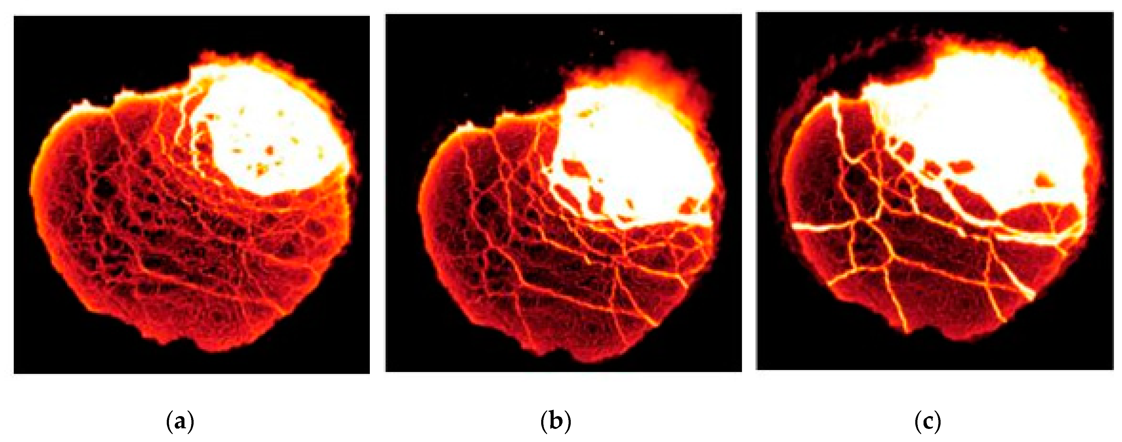 Metals 09 01048 g004 Metals 09 01048 g004