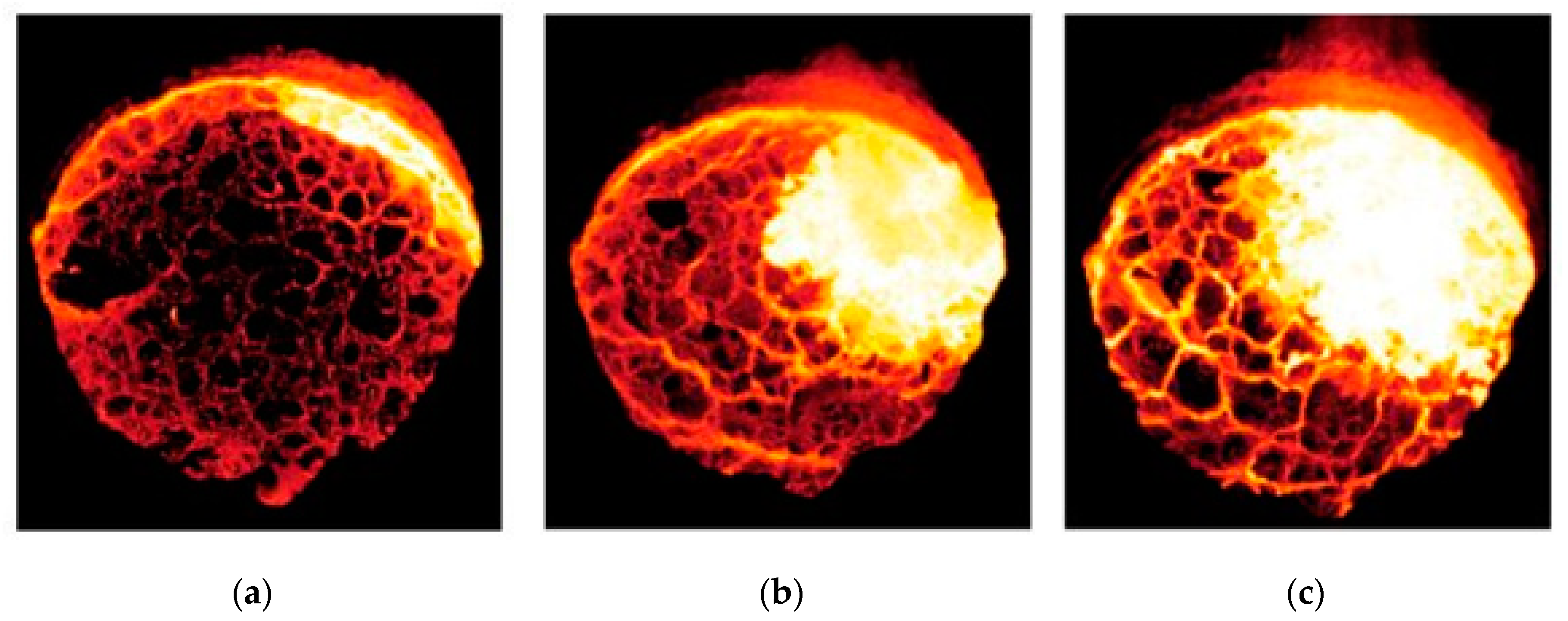 Metals 09 01048 g010 Metals 09 01048 g010