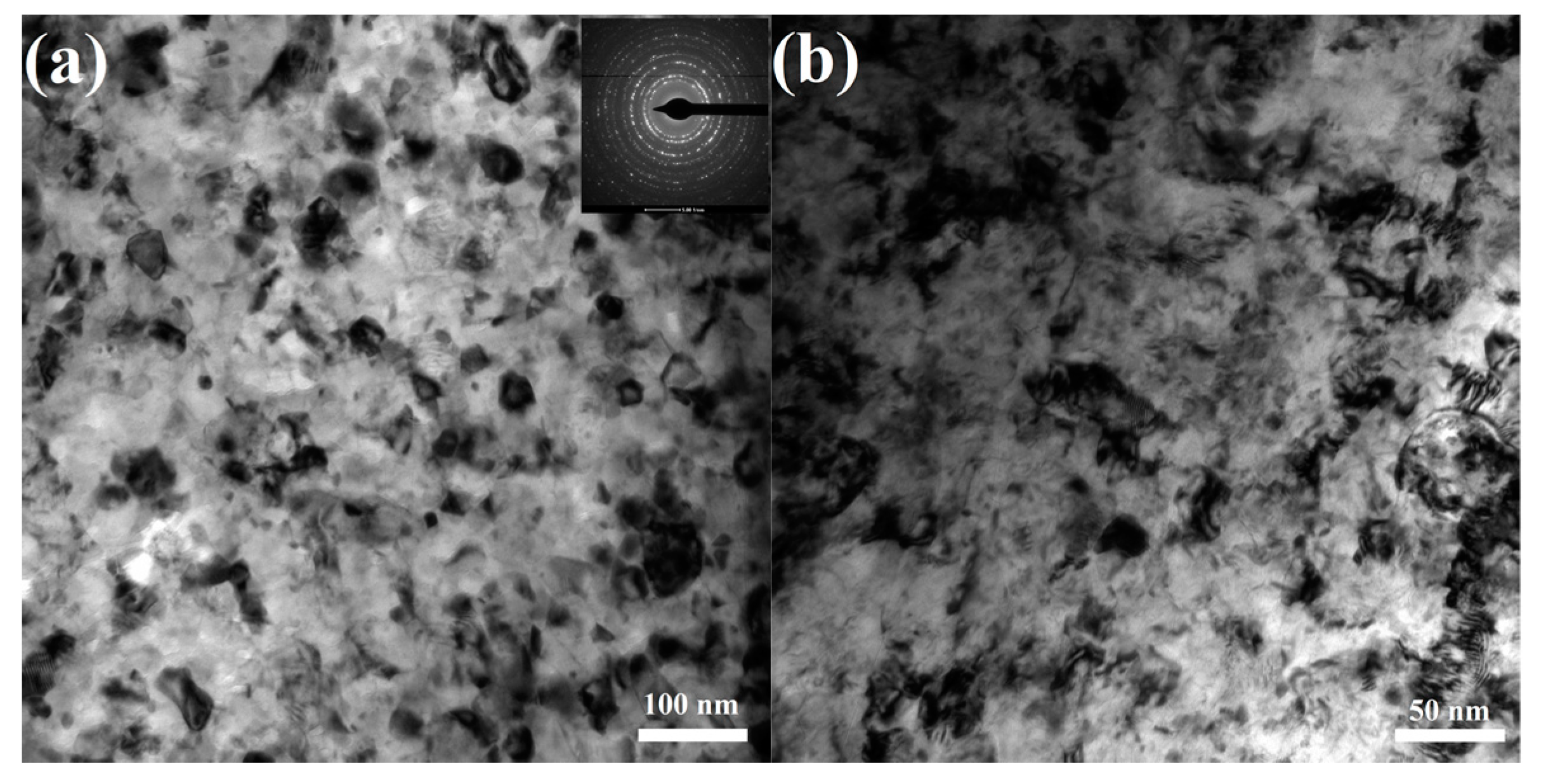 Metals 09 01050 g010