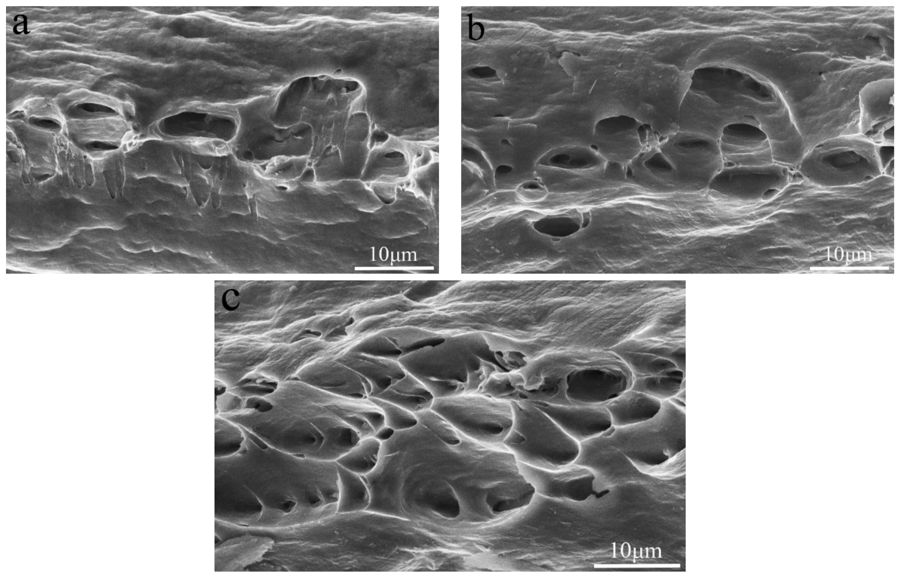 Metals 09 01072 g007 550