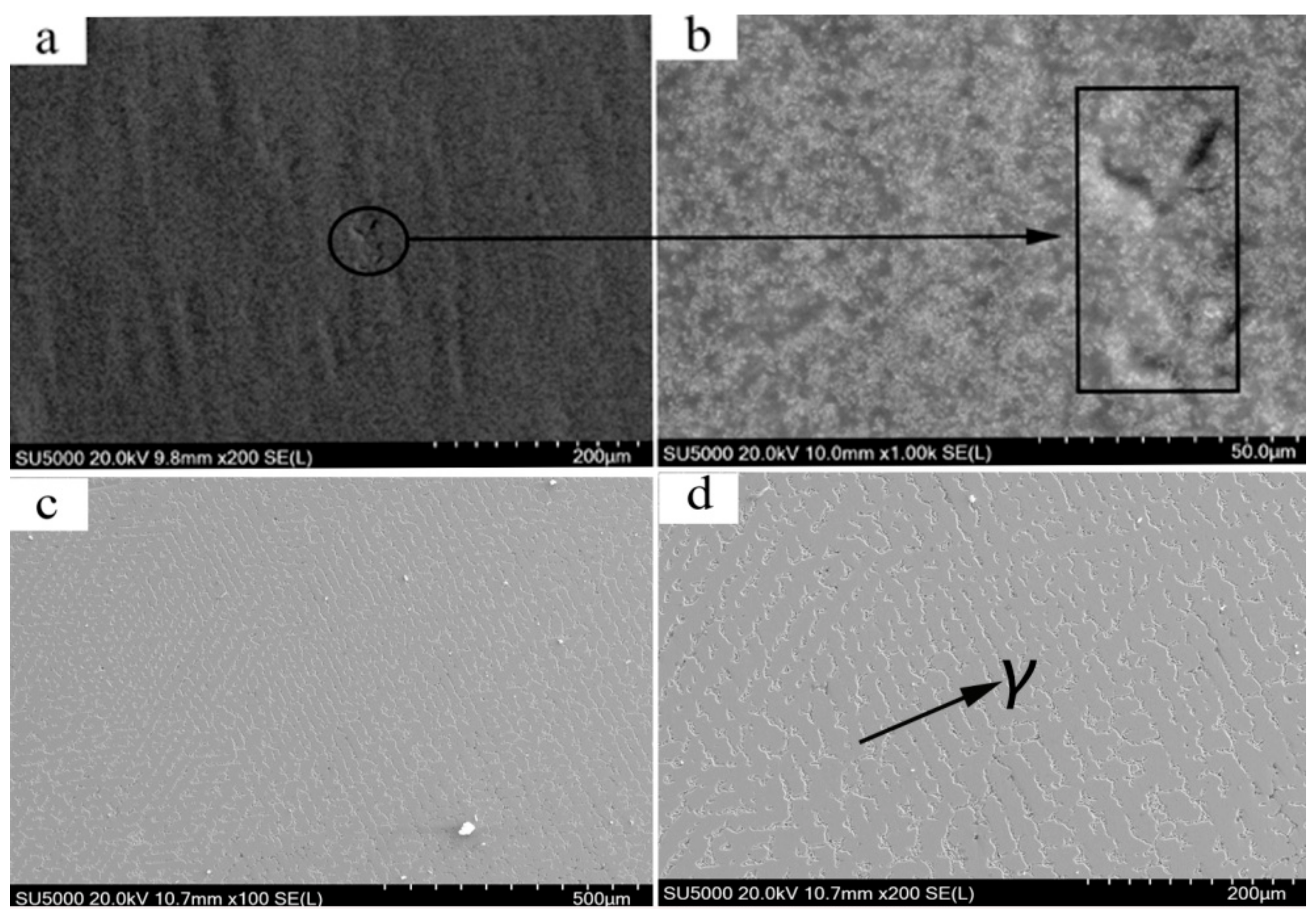 Metals 09 01074 g003