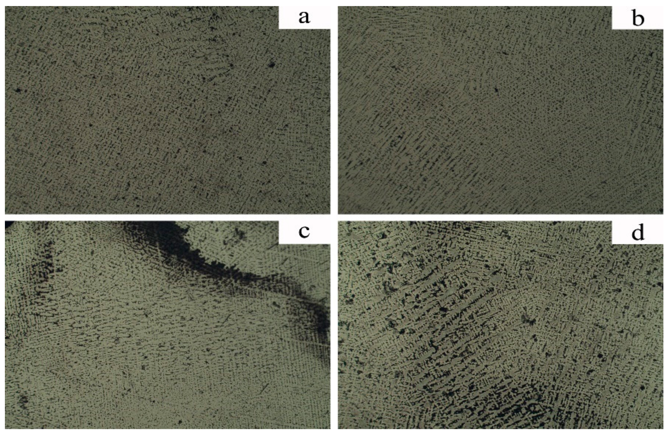 Metals 09 01074 g013