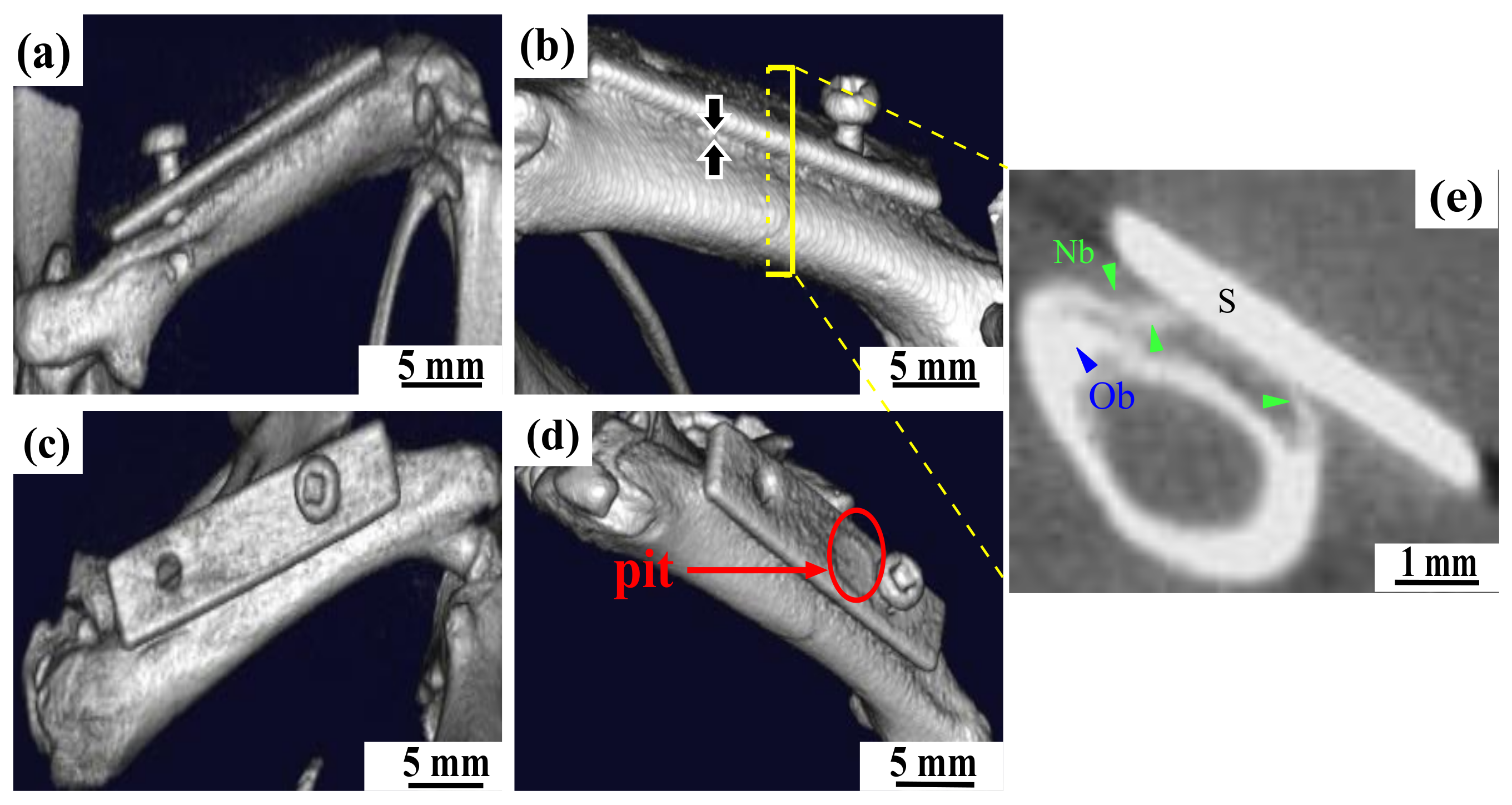 Metals 09 01075 g010 Metals 09 01075 g010