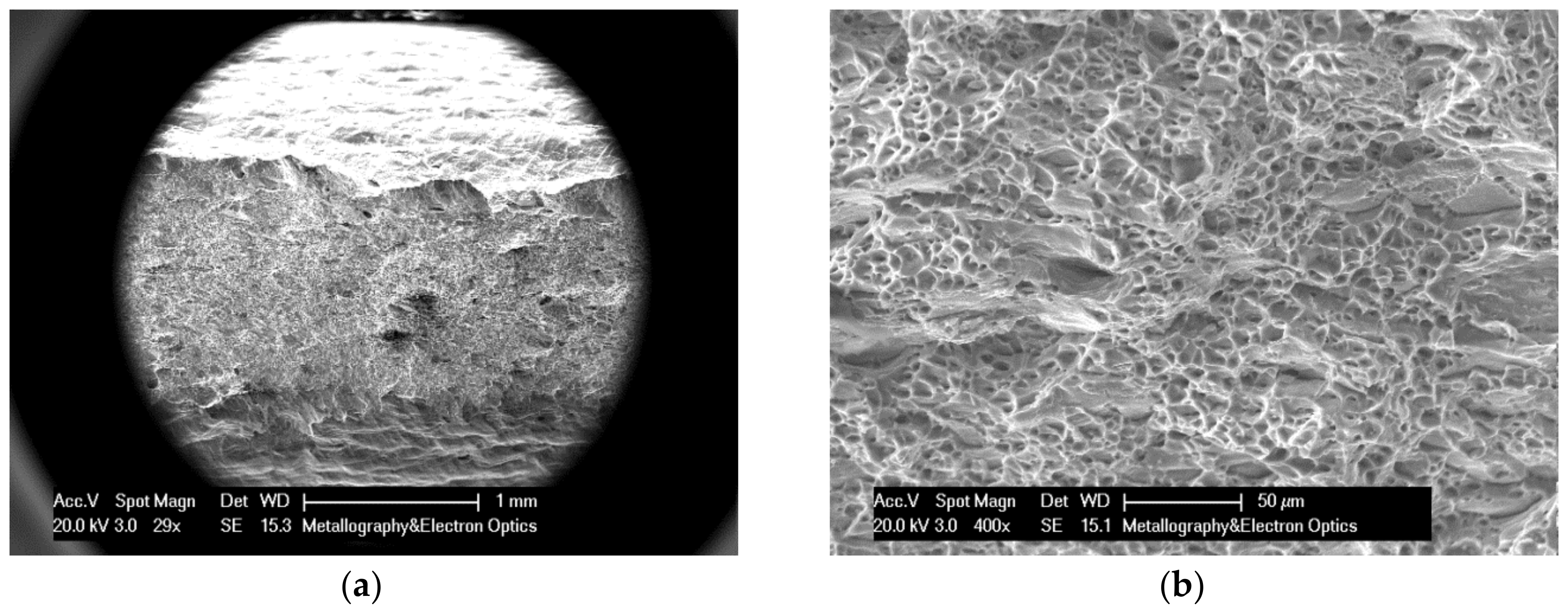 Metals 09 01080 g007a