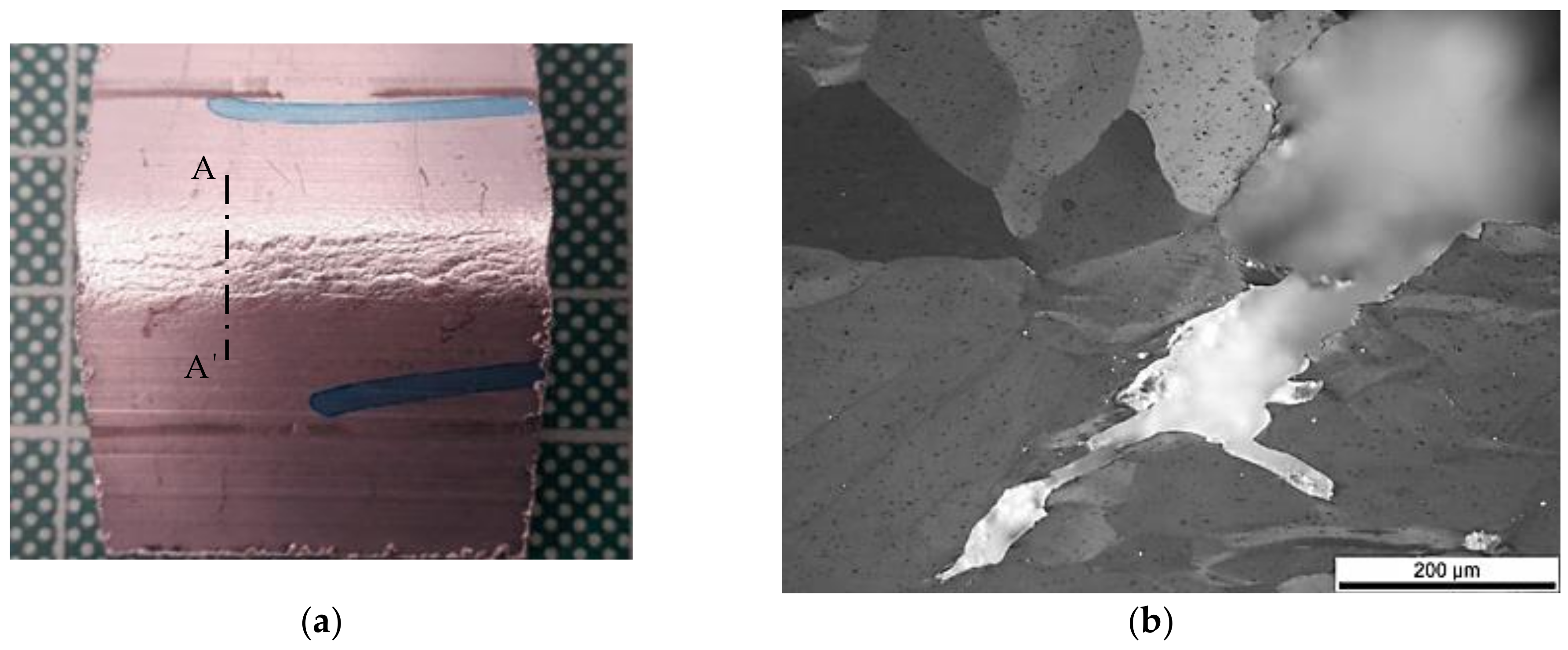 Metals 09 01080 g010a