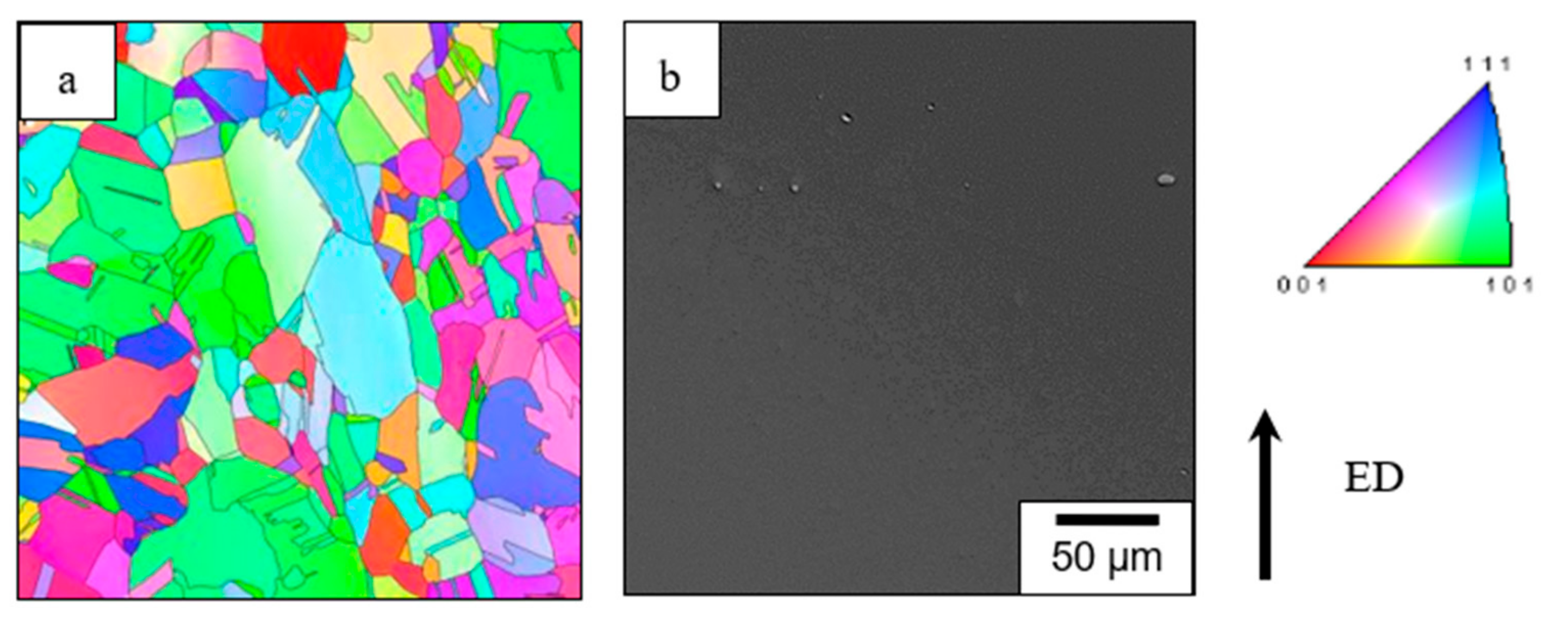 Metals 09 01081 g001