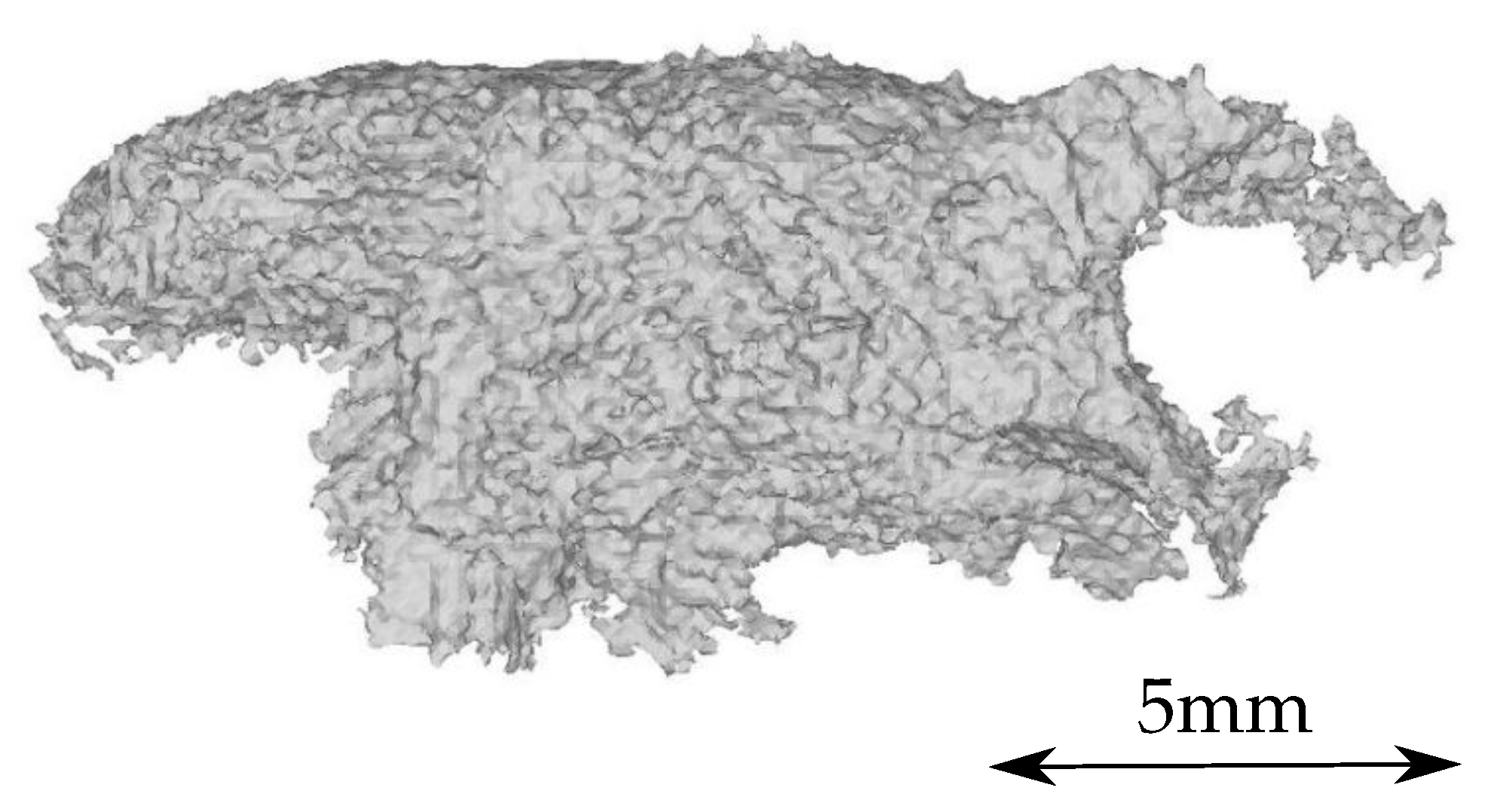 Metals 09 01097 g012