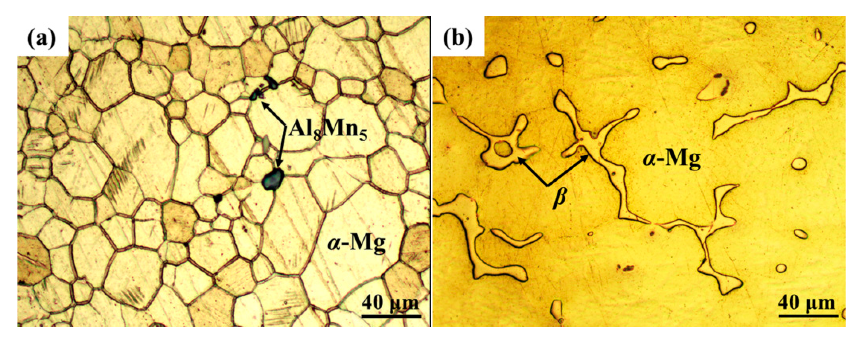 Metals 09 01100 g001 Metals 09 01100 g001