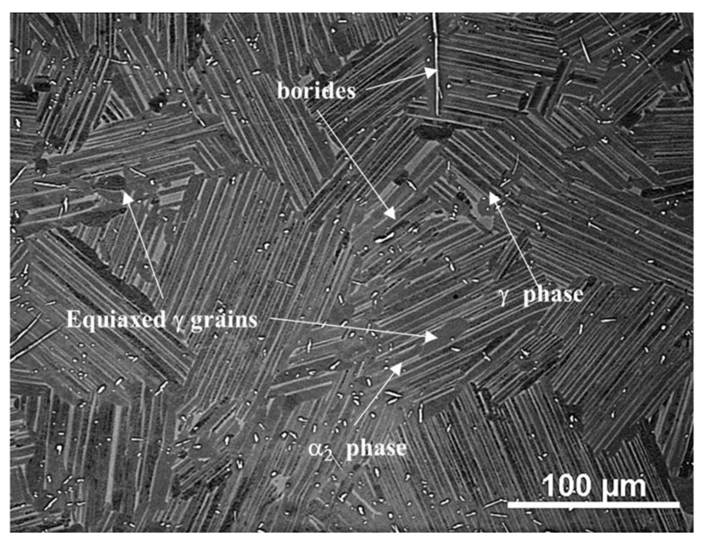 Metals 09 01101 g001