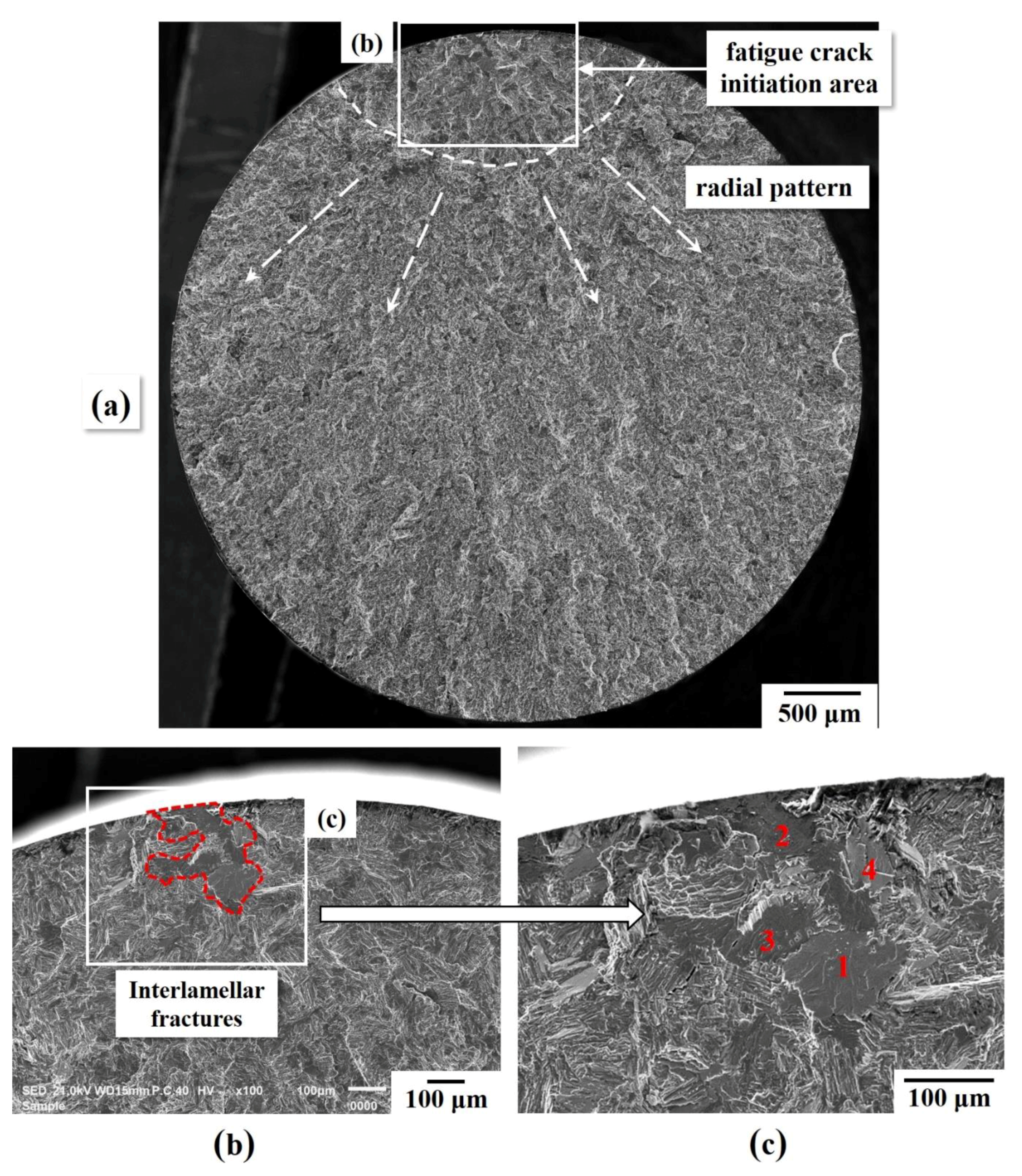 Metals 09 01101 g003