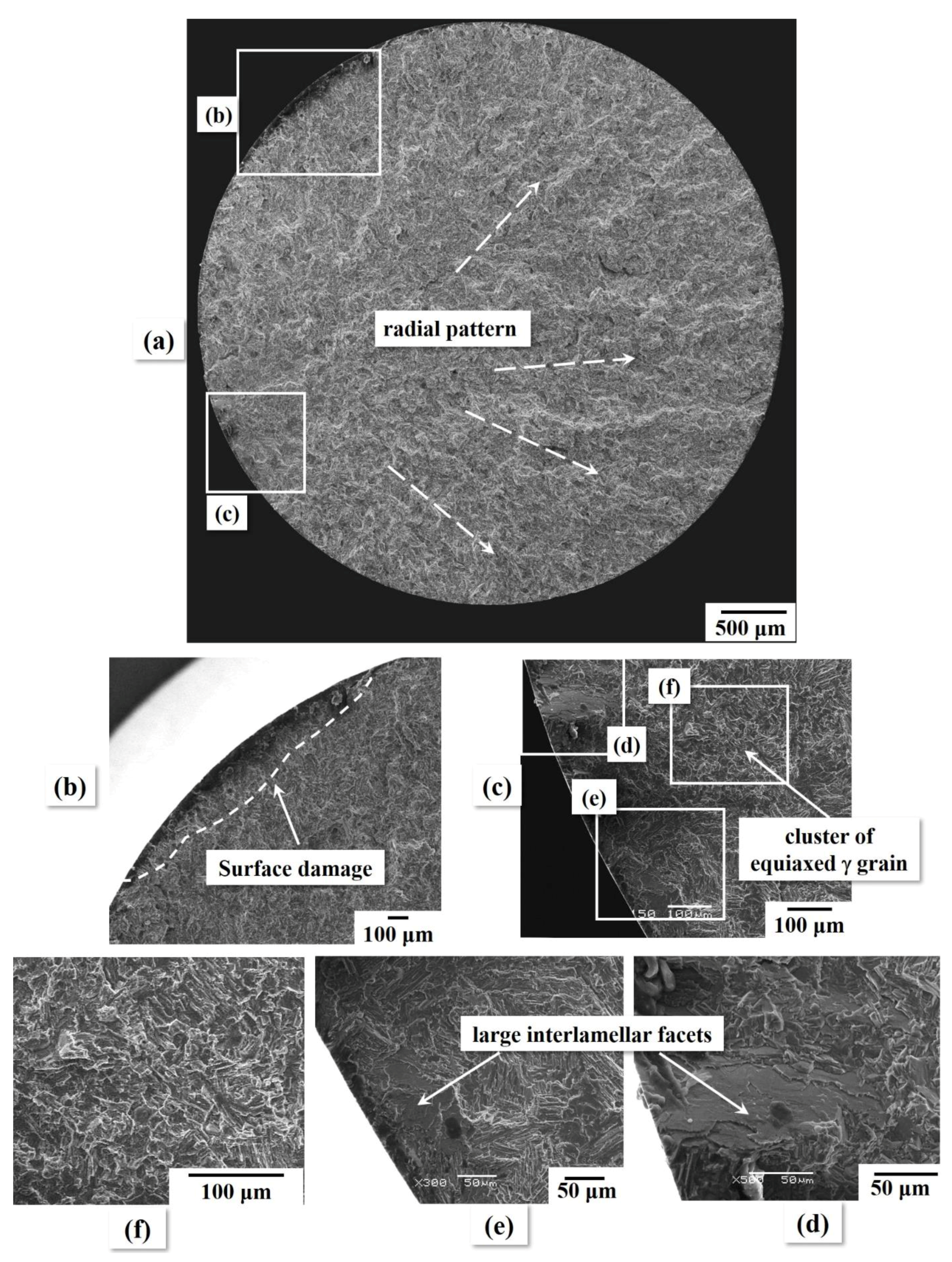 Metals 09 01101 g004