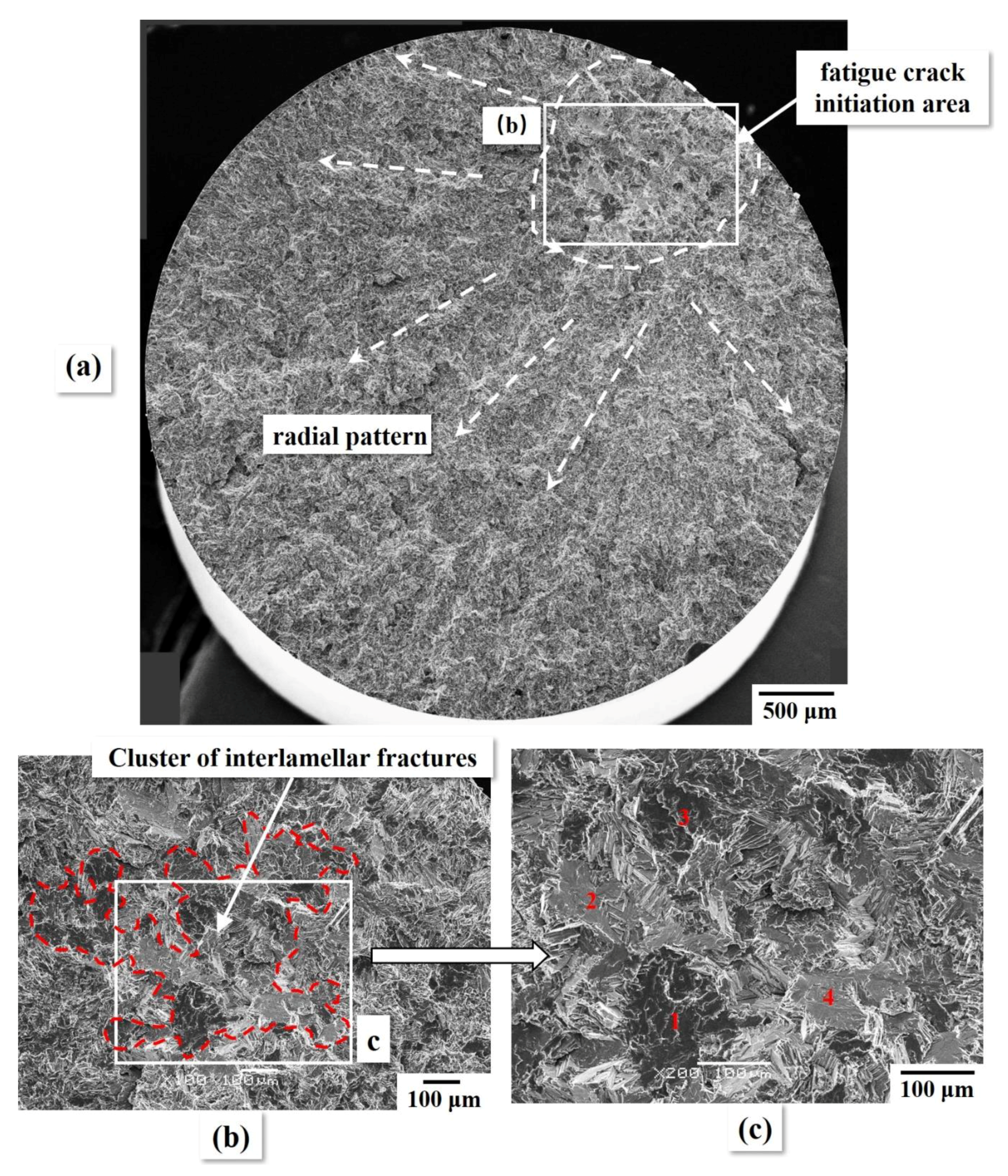 Metals 09 01101 g006