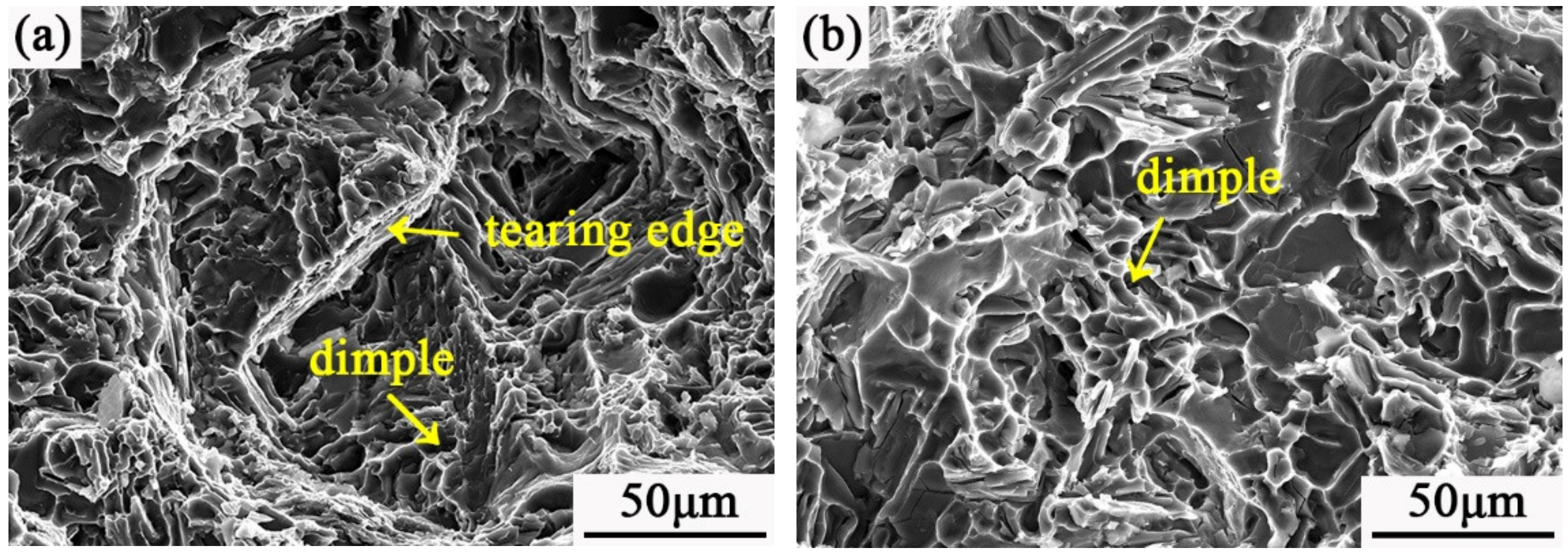 Metals 09 01103 g004