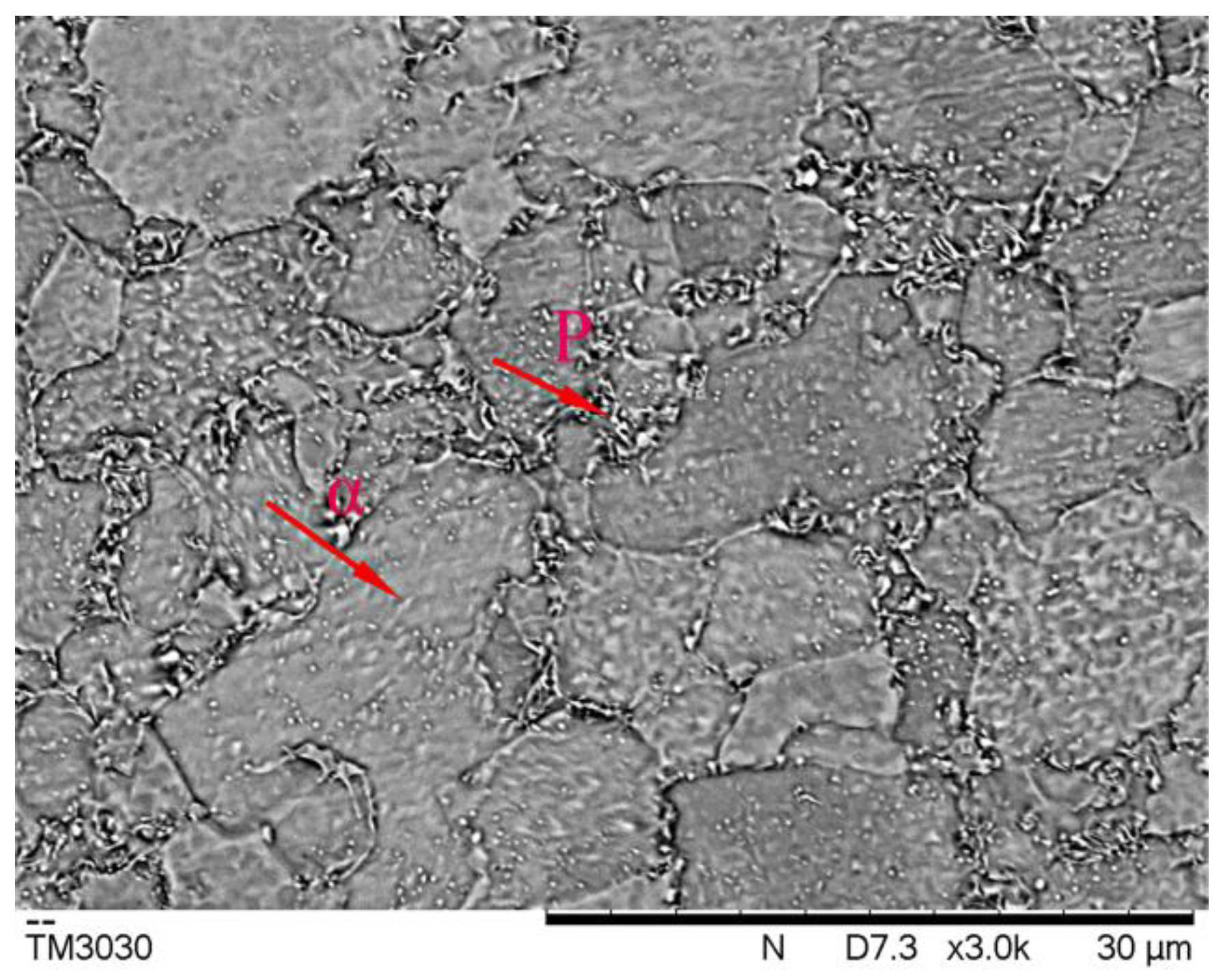 Metals 09 01119 g001 550