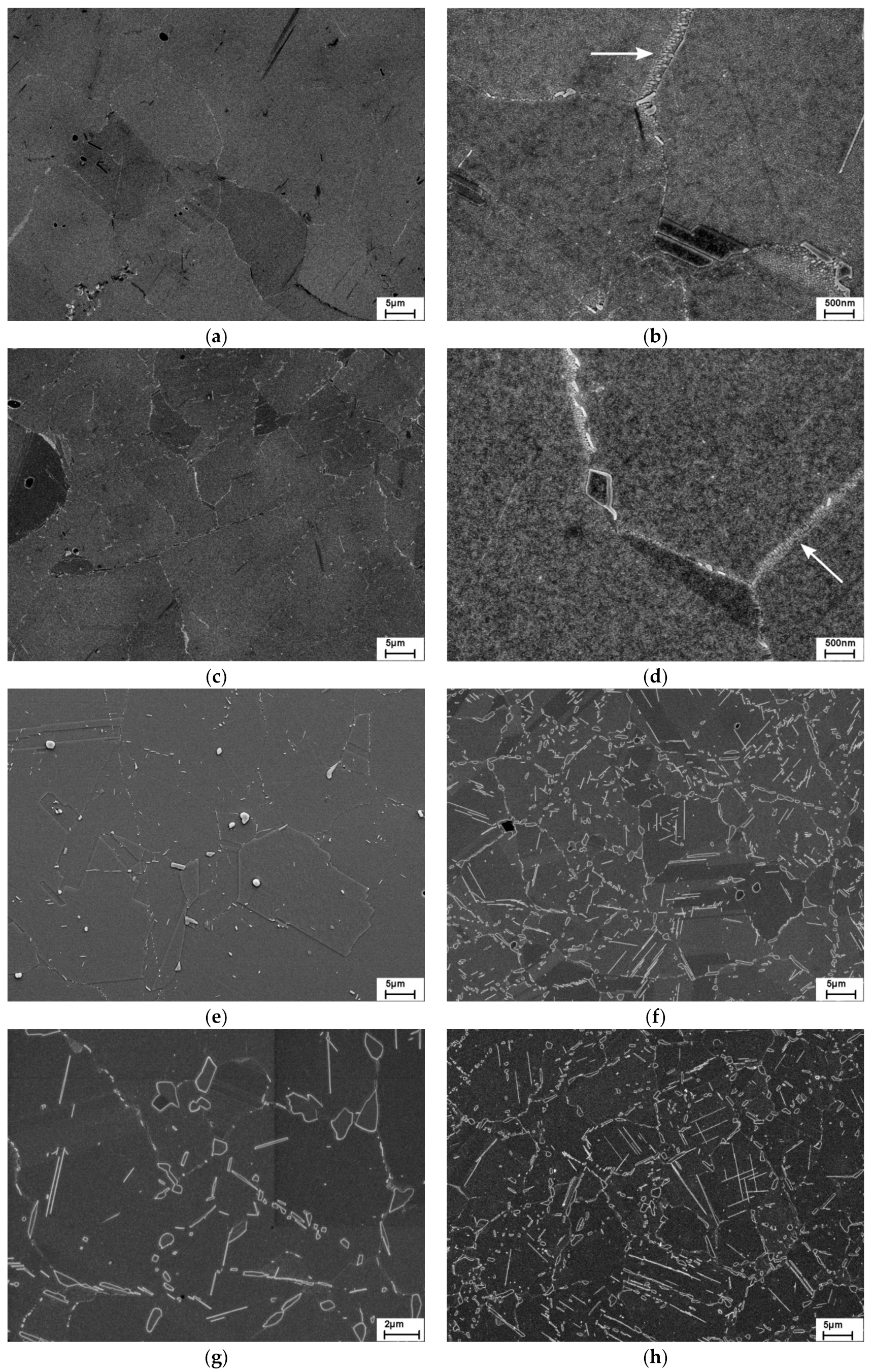 Metals 09 01130 g002a 550