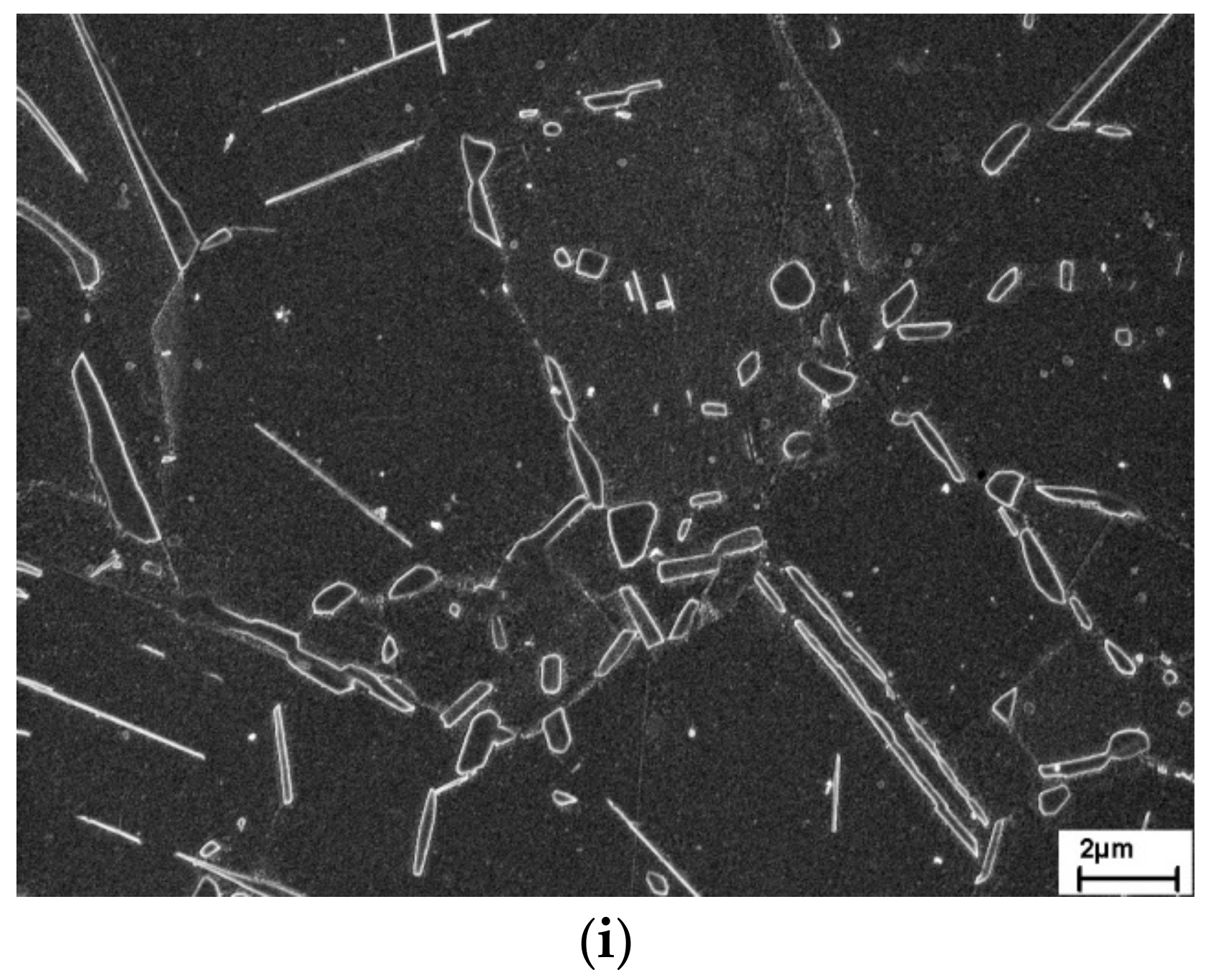 Metals 09 01130 g002b 550