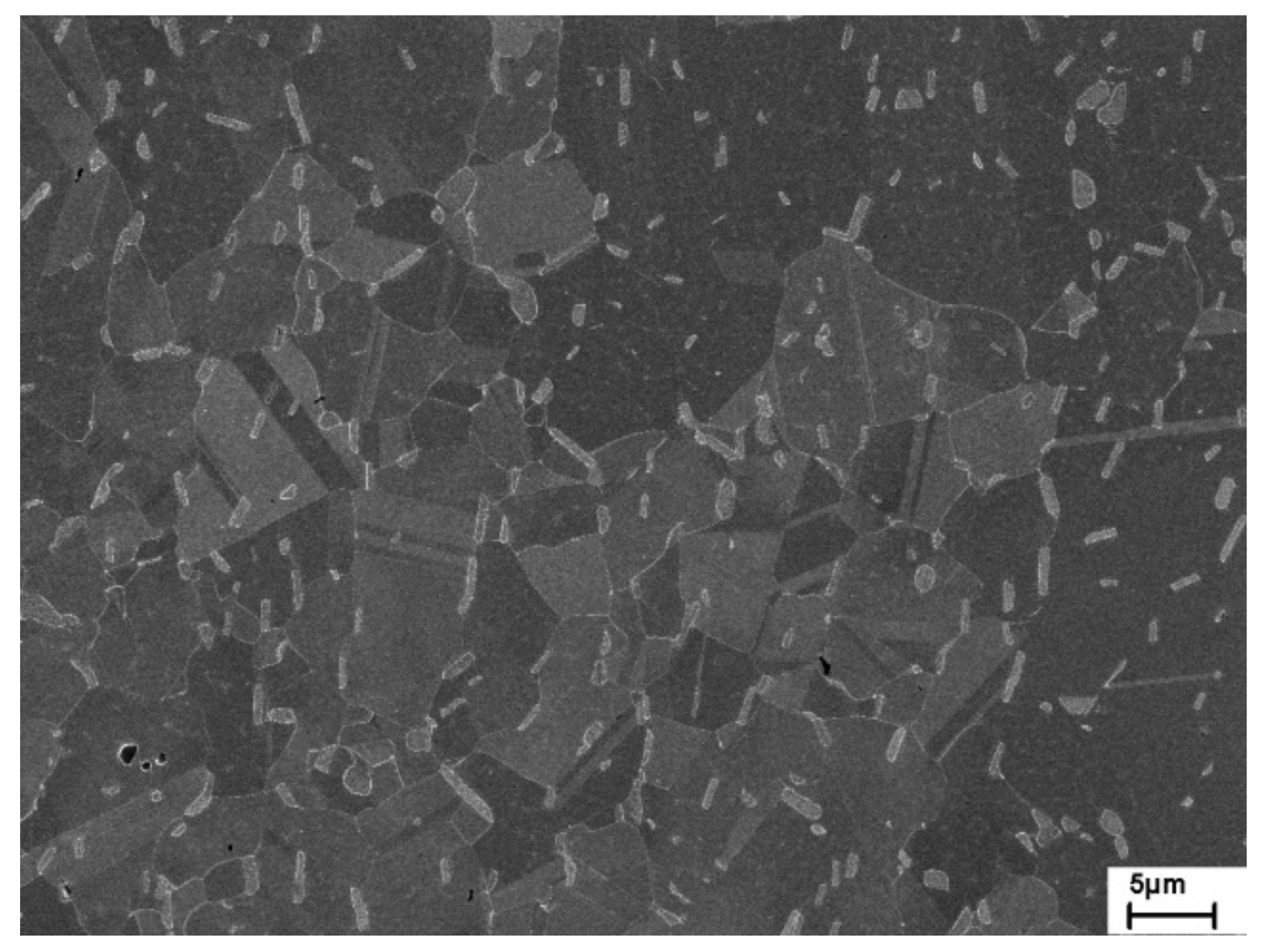 Metals 09 01130 g005 550