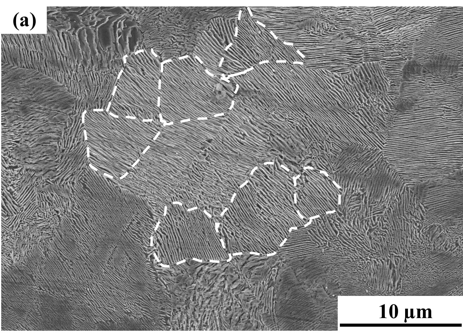 Metals Free FullText Study on the Nucleation and Growth of