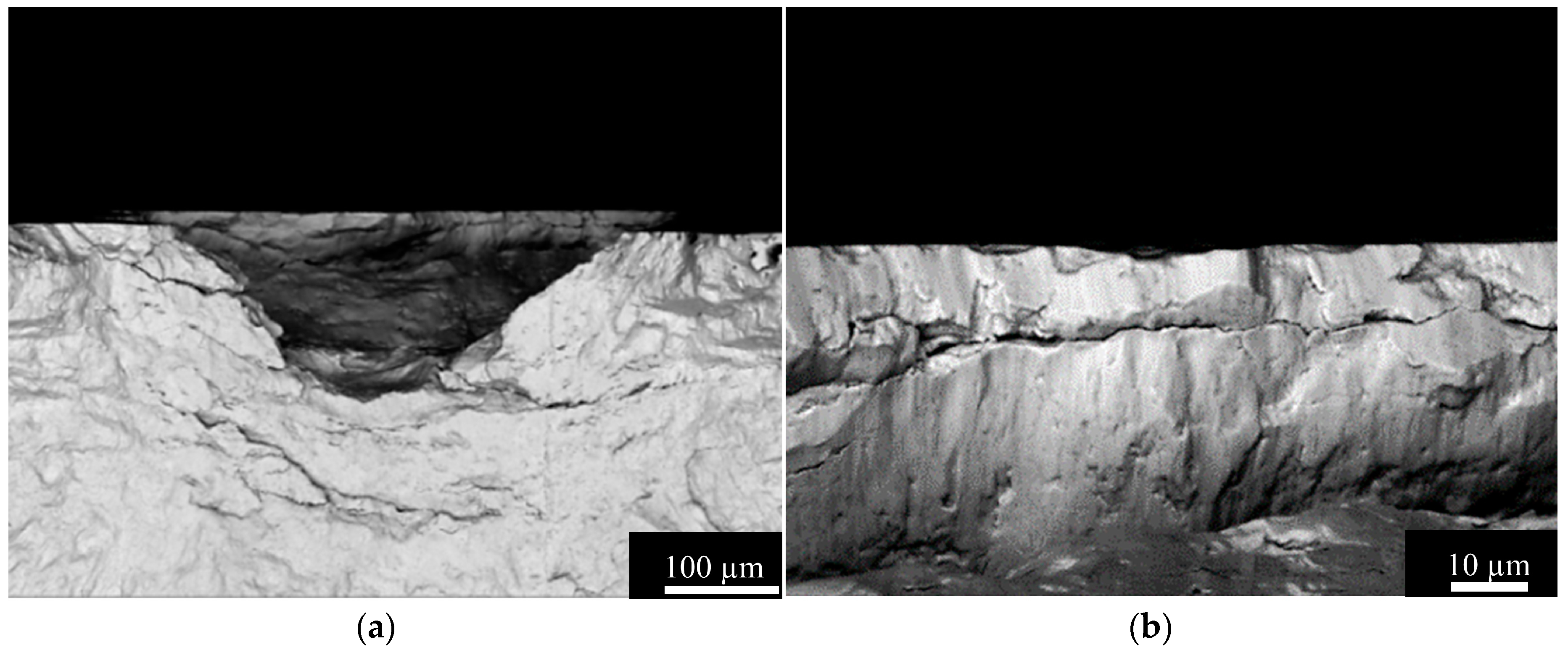 Metals 09 01137 g001