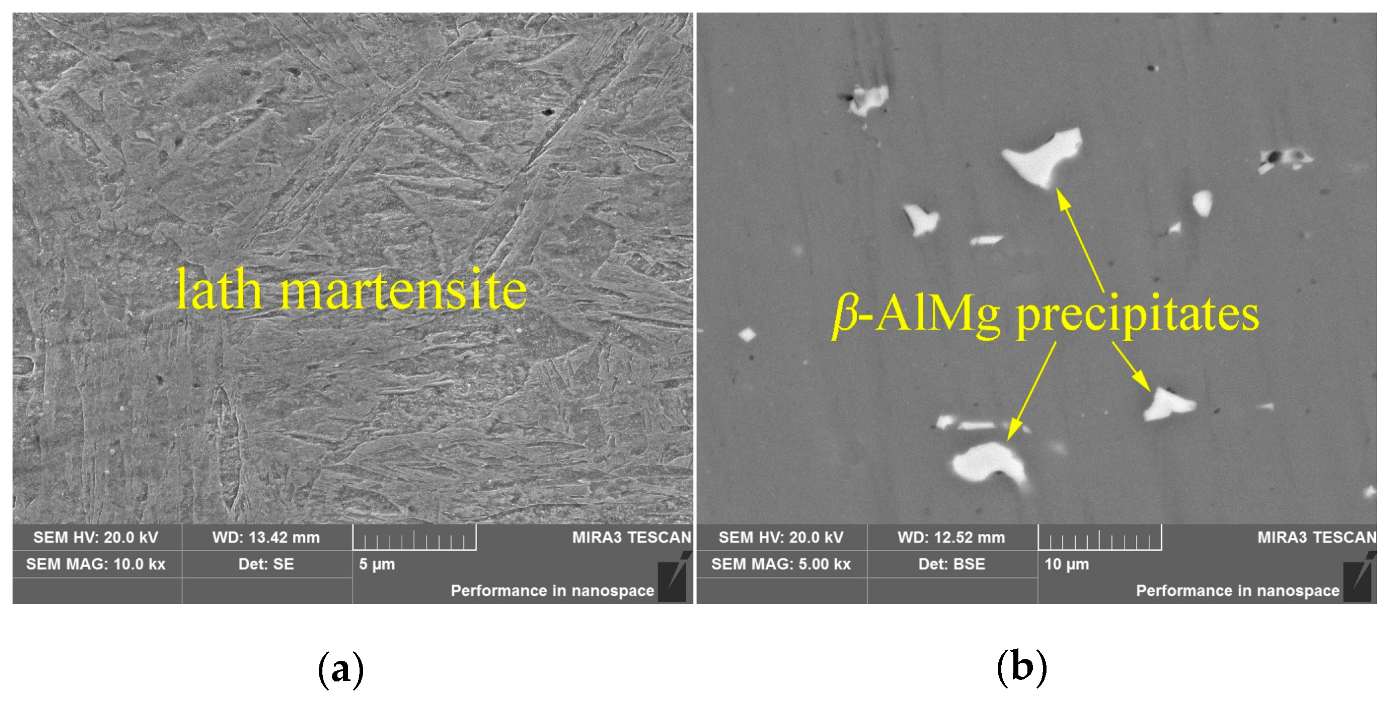 Metals 09 01143 g001 Metals 09 01143 g001