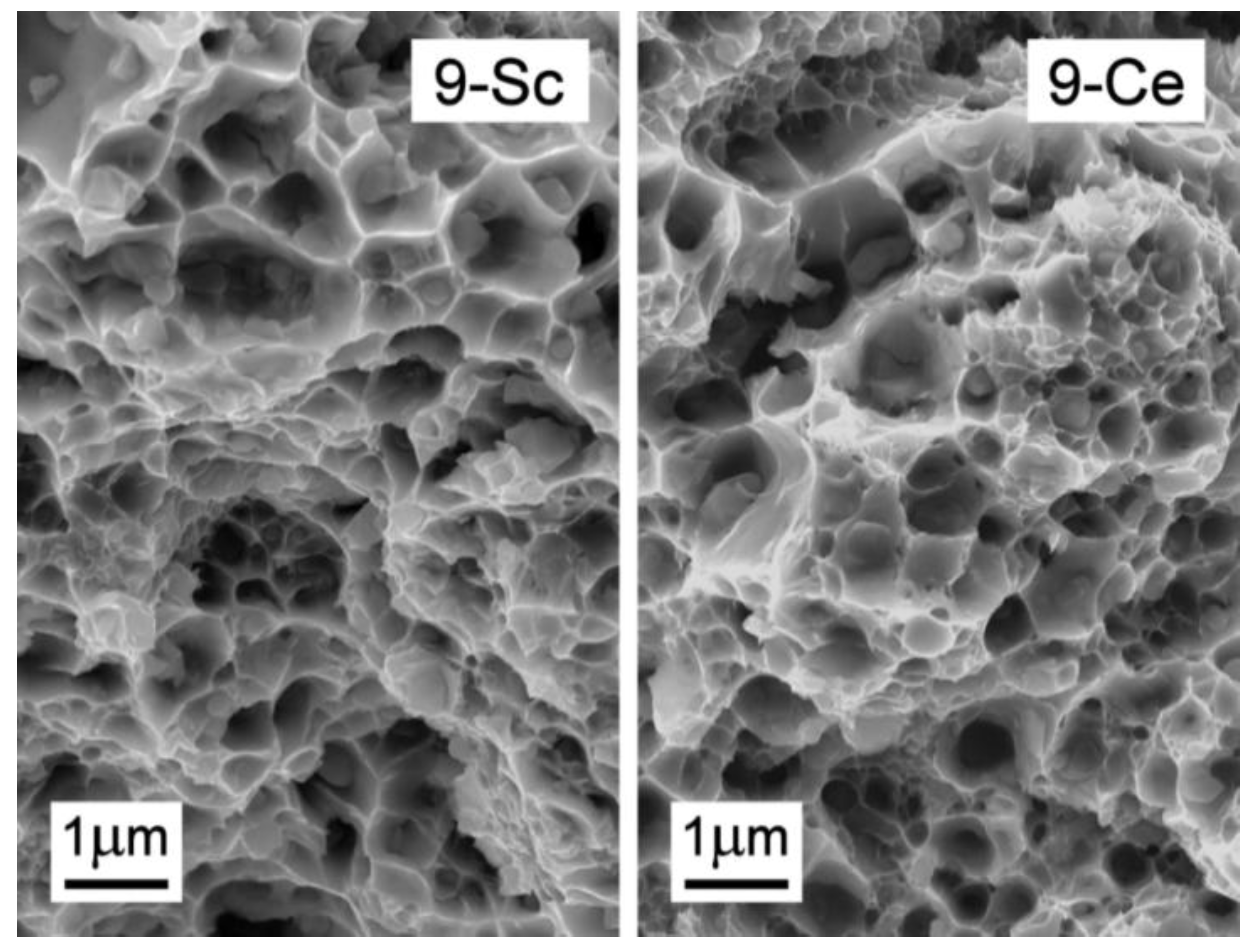 Metals 09 01148 g005