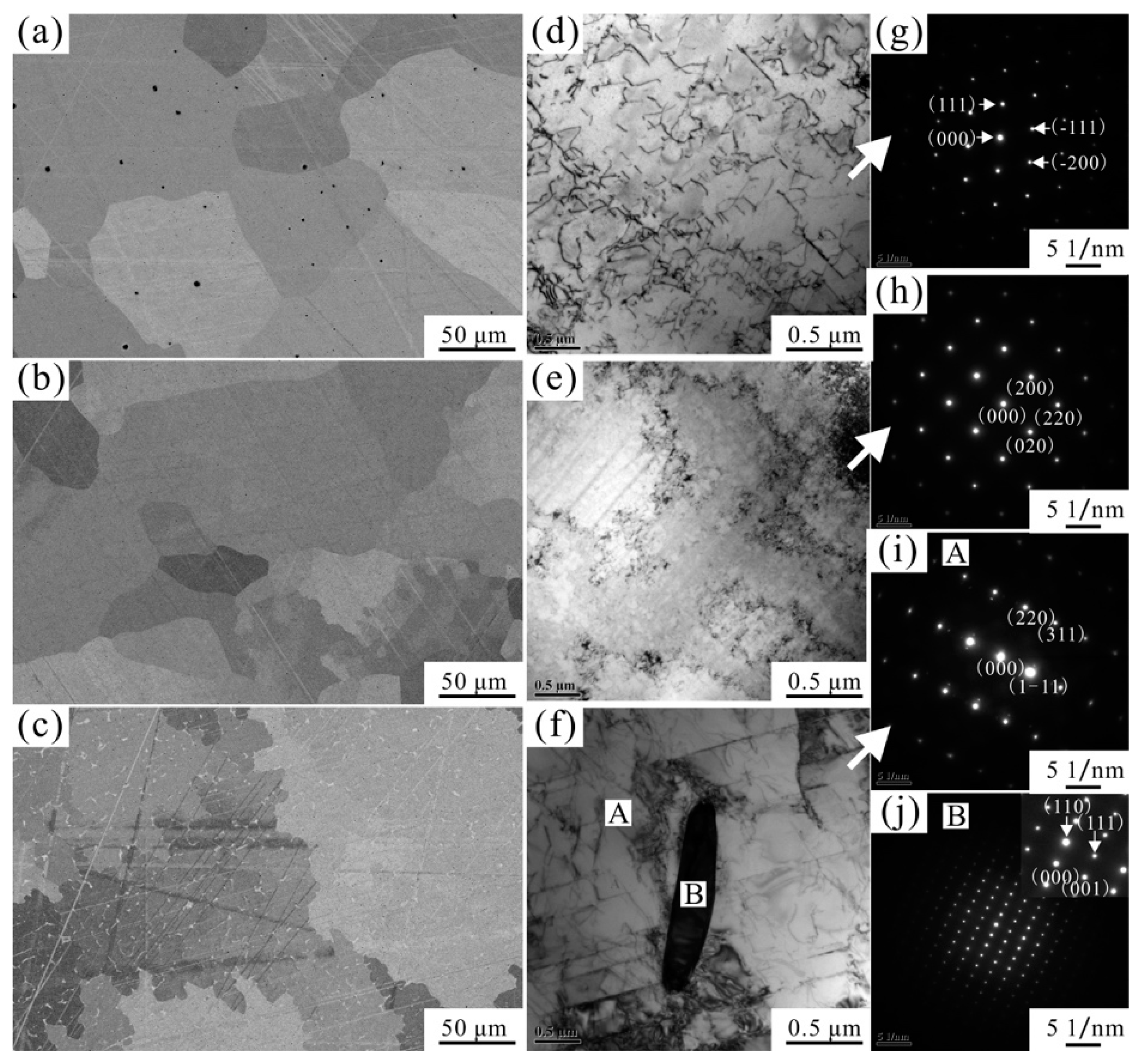 Metals 09 01172 g002