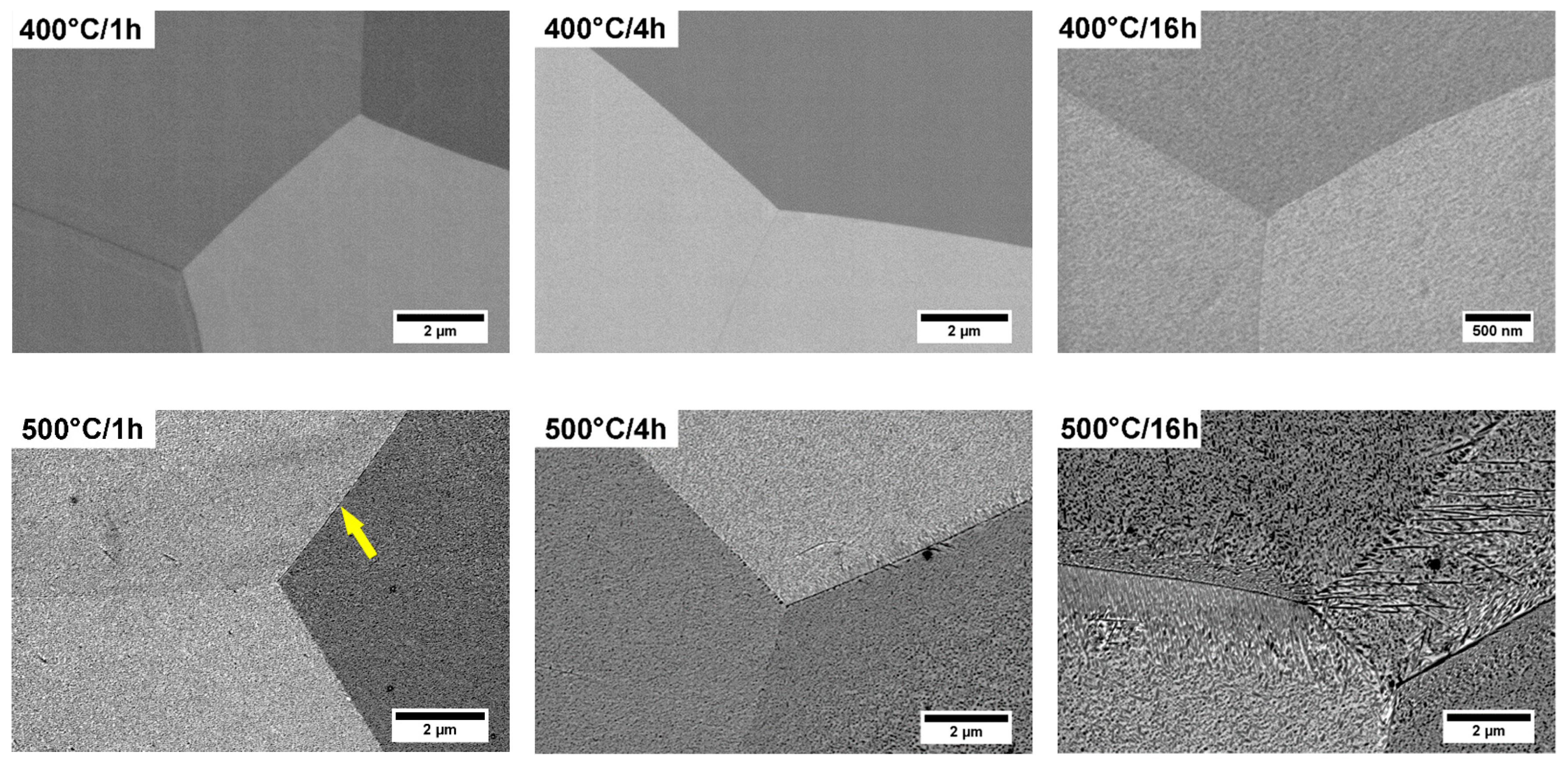 Metals 09 01194 g004 550