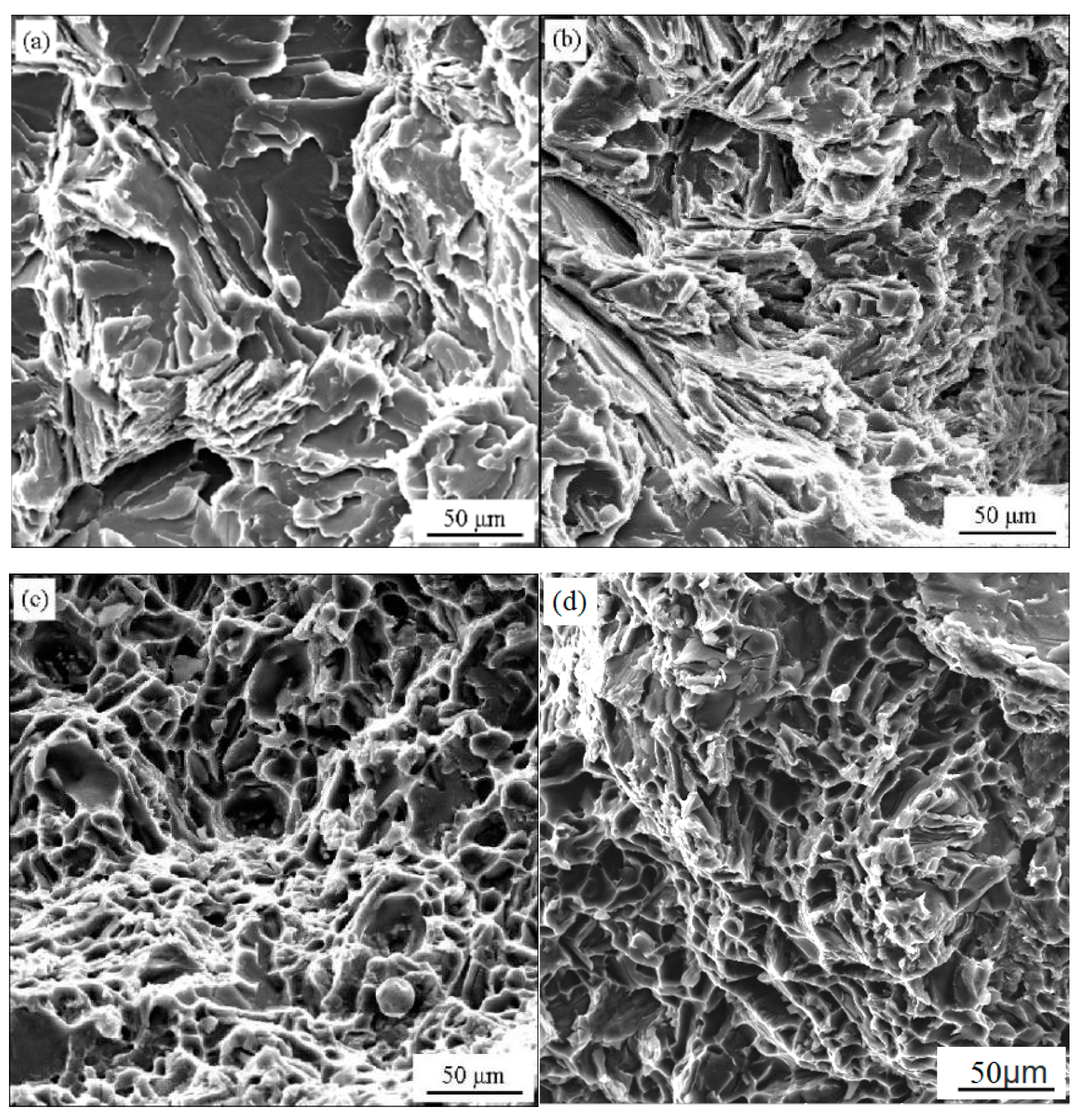 Metallography And Microstructure Analysis Analysis Materials Engineering Microscopic