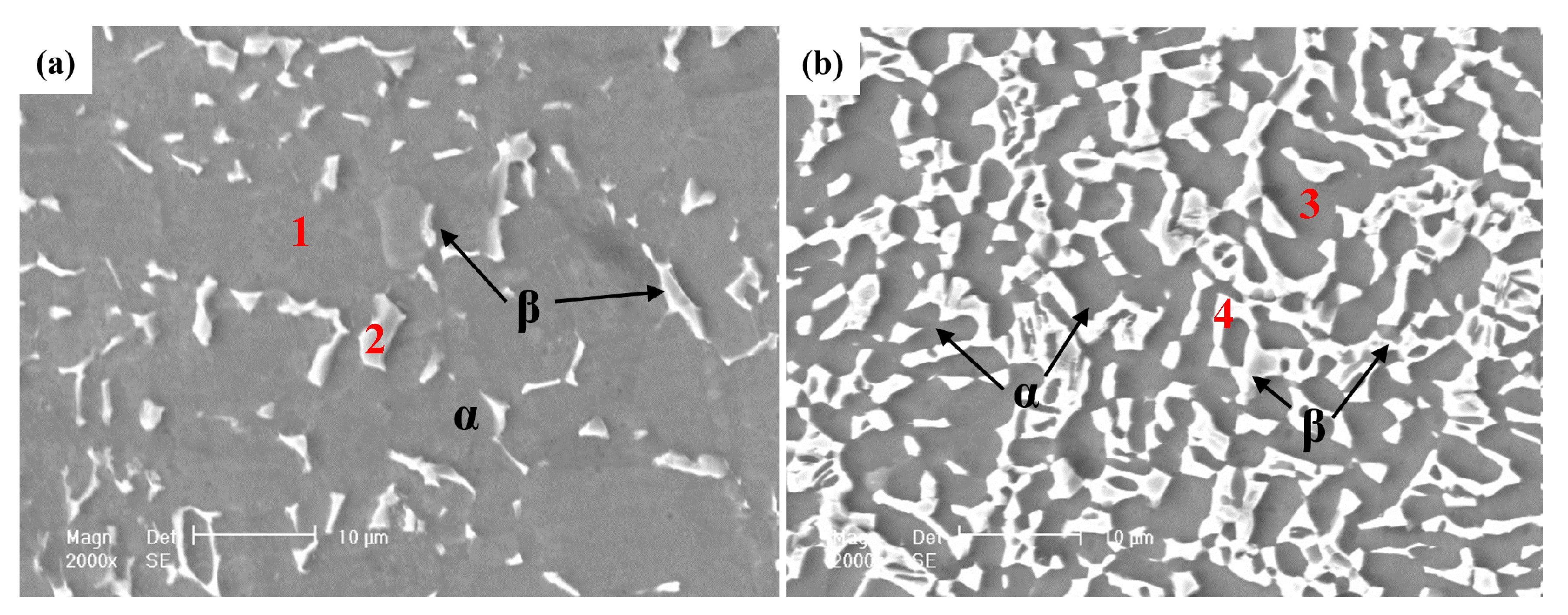 Metals 09 01213 g003 550